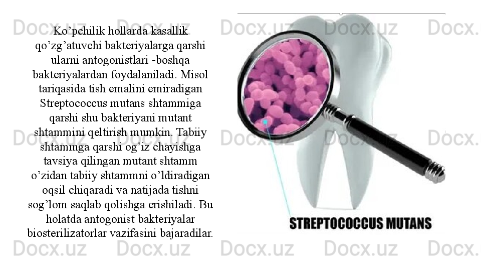 Ko’pchilik hollarda kasallik 
qo’zg’atuvchi bakteriyalarga qarshi 
ularni antogonistlari -boshqa 
bakteriyalardan foydalaniladi. Misol 
tariqasida tish emalini emiradigan 
Streptococcus mutans shtammiga 
qarshi shu bakteriyani mutant 
shtammini qeltirish mumkin. Tabiiy 
shtammga qarshi og’iz chayishga 
tavsiya qilingan mutant shtamm 
o’zidan tabiiy shtammni o’ldiradigan 
oqsil chiqaradi va natijada tishni 
sog’lom saqlab qolishga erishiladi. Bu 
holatda antogonist bakteriyalar 
biosterilizatorlar vazifasini bajaradilar.