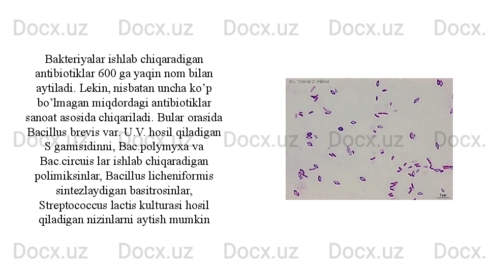 Bakteriyalar ishlab chiqaradigan 
antibiotiklar 600 ga yaqin nom bilan 
aytiladi. Lekin, nisbatan uncha ko’p 
bo’lmagan miqdordagi antibiotiklar 
sanoat asosida chiqariladi. Bular orasida 
Bacillus brevis var. U.V. hosil qiladigan 
S gamisidinni, Bac.polymyxa va 
Bac.circuis lar ishlab chiqaradigan 
polimiksinlar, Bacillus licheniformis 
sintezlaydigan basitrosinlar, 
Streptococcus lactis kulturasi hosil 
qiladigan nizinlarni aytish mumkin 