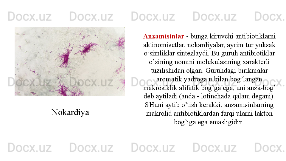 Anzamisinlar  - bunga kiruvchi antibiotiklarni 
aktinomisetlar, nokardiyalar, ayrim tur yuksak 
o’simliklar sintezlaydi. Bu guruh antibiotiklar 
o’zining nomini molekulasining xarakterli 
tuzilishidan olgan. Guruhdagi birikmalar 
aromatik yadroga u bilan bog’langan 
makrosiklik alifatik bog’ga ega, uni anza-bog’ 
deb aytiladi (anda - lotinchada qalam degani). 
SHuni aytib o’tish kerakki, anzamisinlarning 
makrolid antibiotiklardan farqi ularni lakton 
bog’iga ega emasligidir. Nokardiya 