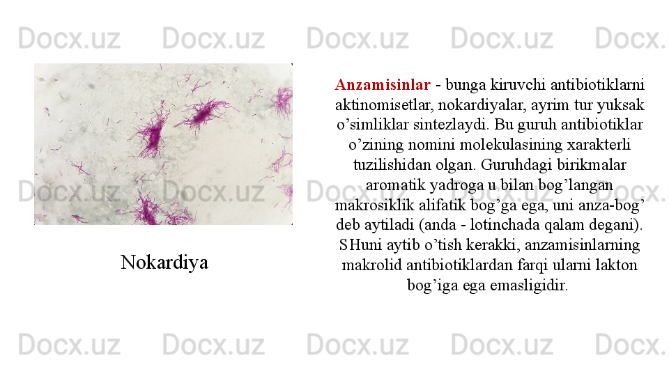Anzamisinlar  - bunga kiruvchi antibiotiklarni 
aktinomisetlar, nokardiyalar, ayrim tur yuksak 
o’simliklar sintezlaydi. Bu guruh antibiotiklar 
o’zining nomini molekulasining xarakterli 
tuzilishidan olgan. Guruhdagi birikmalar 
aromatik yadroga u bilan bog’langan 
makrosiklik alifatik bog’ga ega, uni anza-bog’ 
deb aytiladi (anda - lotinchada qalam degani). 
SHuni aytib o’tish kerakki, anzamisinlarning 
makrolid antibiotiklardan farqi ularni lakton 
bog’iga ega emasligidir. Nokardiya