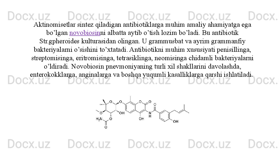 Aktinomisetlar sintez qiladigan antibiotiklarga muhim amaliy ahamiyatga ega 
bo’lgan  novobiosin ni albatta aytib o’tish lozim bo’ladi. Bu antibiotik 
Str.gpheroides kulturasidan olingan. U grammusbat va ayrim grammanfiy 
bakteriyalarni o’sishini to’xtatadi. Antibiotikni muhim xususiyati penisillinga, 
streptomisinga, eritromisinga, tetrasiklinga, neomisinga chidamli bakteriyalarni 
o’ldiradi. Novobiosin pnevmoniyaning turli xil shakllarini davolashda, 
enterokokklarga, anginalarga va boshqa yuqumli kasalliklarga qarshi ishlatiladi.  