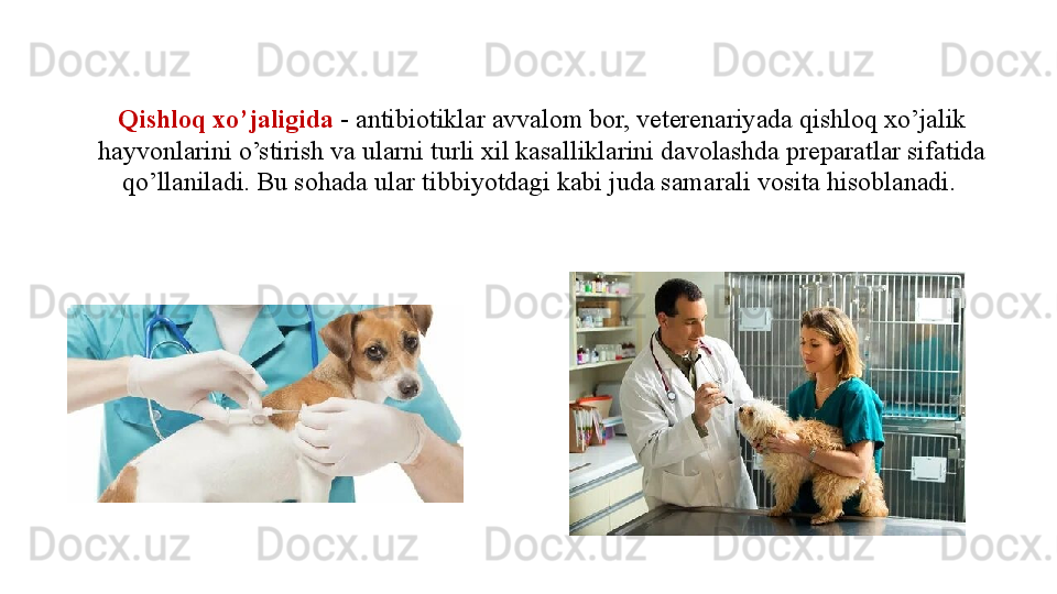 Qishloq xo’jaligida  - antibiotiklar avvalom bor, veterenariyada qishloq xo’jalik 
hayvonlarini o’stirish va ularni turli xil kasalliklarini davolashda preparatlar sifatida 
qo’llaniladi. Bu sohada ular tibbiyotdagi kabi juda samarali vosita hisoblanadi.  