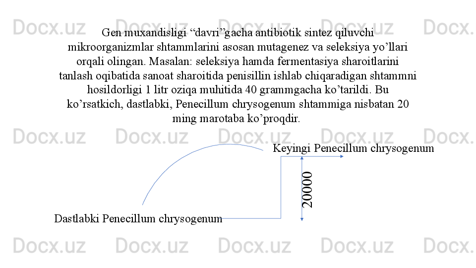 Gen muxandisligi “davri”gacha antibiotik sintez qiluvchi 
mikroorganizmlar shtammlarini asosan mutagenez va seleksiya yo’llari 
orqali olingan. Masalan: seleksiya hamda fermentasiya sharoitlarini 
tanlash oqibatida sanoat sharoitida penisillin ishlab chiqaradigan shtammni 
hosildorligi 1 litr oziqa muhitida 40 grammgacha ko’tarildi. Bu 
ko’rsatkich, dastlabki, Penecillum chrysogenum shtammiga nisbatan 20 
ming marotaba ko’proqdir. 
D astlabki Penecillum chrysogenum Keyingi  Penecillum chrysogenum2
0
0
0
0