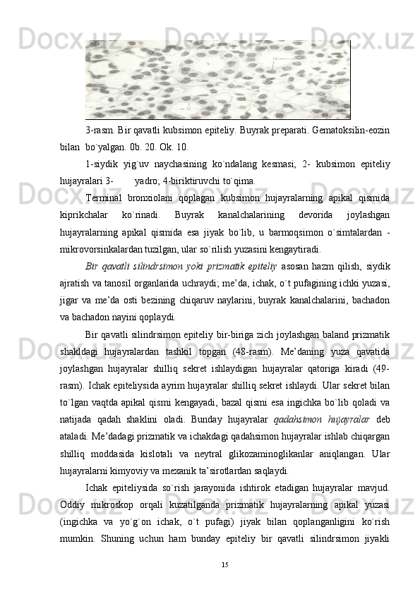 3-rasm. Bir qavatli kubsimon epiteliy. Buyrak preparati. Gematoksilin-eozin
bilan  bo`yalgan. 0b. 20. Ok. 10.
1-siydik   yig`uv   naychasining   ko`ndalang   kesmasi;   2-   kubsimon   epiteliy
hujayralari 3- yadro; 4-biriktiruvchi to`qima.
Terminal   bronxiolani   qoplagan   kubsimon   hujayralarning   apikal   qismida
kiprikchalar   ko`rinadi.   Buyrak   kanalchalarining   devorida   joylashgan
hujayralarning   apikal   qismida   esa   jiyak   bo`lib,   u   barmoqsimon   o`simtalardan   -
mikrovorsinkalardan tuzilgan, ular so`rilish yuzasini kengaytiradi.
Bir   qavatli   silindrsimon   yoki   prizmatik   epiteliy   asosan   hazm   qilish,   siydik
ajratish va tanosil organlarida uchraydi; me’da, ichak, o`t pufagining ichki yuzasi,
jigar   va   me’da   osti   bezining   chiqaruv   naylarini,   buyrak   kanalchalarini,   bachadon
va bachadon nayini qoplaydi.
Bir qavatli silindrsimon epiteliy bir-biriga zich joylashgan baland prizmatik
shakldagi   hujayralardan   tashkil   topgan   (48-rasm).   Me’daning   yuza   qavatida
joylashgan   hujayralar   shilliq   sekret   ishlaydigan   hujayralar   qatoriga   kiradi   (49-
rasm). Ichak epiteliysida ayrim hujayralar shilliq sekret ishlaydi. Ular sekret bilan
to`lgan   vaqtda   apikal   qismi   kengayadi,   bazal   qismi   esa   ingichka   bo`lib   qoladi   va
natijada   qadah   shaklini   oladi.   Bunday   hujayralar   qadahsimon   hujayralar   deb
ataladi. Me’dadagi prizmatik va ichakdagi qadahsimon hujayralar ishlab chiqargan
shilliq   moddasida   kislotali   va   neytral   glikozaminoglikanlar   aniqlangan.   Ular
hujayralarni kimyoviy va mexanik ta’sirotlardan saqlaydi.
Ichak   epiteliysida   so`rish   jarayonida   ishtirok   etadigan   hujayralar   mavjud.
Oddiy   mikroskop   orqali   kuzatilganda   prizmatik   hujayralarning   apikal   yuzasi
(ingichka   va   yo`g`on   ichak,   o`t   pufagi)   jiyak   bilan   qoplanganligini   ko`rish
mumkin.   Shuning   uchun   ham   bunday   epiteliy   bir   qavatli   silindrsimon   jiyakli
15 