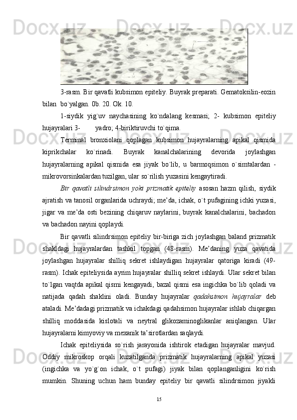 3-rasm. Bir qavatli kubsimon epiteliy. Buyrak preparati. Gematoksilin-eozin
bilan  bo`yalgan. 0b. 20. Ok. 10.
1-siydik   yig`uv   naychasining   ko`ndalang   kesmasi;   2-   kubsimon   epiteliy
hujayralari 3- yadro; 4-biriktiruvchi to`qima.
Terminal   bronxiolani   qoplagan   kubsimon   hujayralarning   apikal   qismida
kiprikchalar   ko`rinadi.   Buyrak   kanalchalarining   devorida   joylashgan
hujayralarning   apikal   qismida   esa   jiyak   bo`lib,   u   barmoqsimon   o`simtalardan   -
mikrovorsinkalardan tuzilgan, ular so`rilish yuzasini kengaytiradi.
Bir   qavatli   silindrsimon   yoki   prizmatik   epiteliy   asosan   hazm   qilish,   siydik
ajratish va tanosil organlarida uchraydi; me’da, ichak, o`t pufagining ichki yuzasi,
jigar   va   me’da   osti   bezining   chiqaruv   naylarini,   buyrak   kanalchalarini,   bachadon
va bachadon nayini qoplaydi.
Bir qavatli silindrsimon epiteliy bir-biriga zich joylashgan baland prizmatik
shakldagi   hujayralardan   tashkil   topgan   (48-rasm).   Me’daning   yuza   qavatida
joylashgan   hujayralar   shilliq   sekret   ishlaydigan   hujayralar   qatoriga   kiradi   (49-
rasm). Ichak epiteliysida ayrim hujayralar shilliq sekret ishlaydi. Ular sekret bilan
to`lgan   vaqtda   apikal   qismi   kengayadi,   bazal   qismi   esa   ingichka   bo`lib   qoladi   va
natijada   qadah   shaklini   oladi.   Bunday   hujayralar   qadahsimon   hujayralar   deb
ataladi. Me’dadagi prizmatik va ichakdagi qadahsimon hujayralar ishlab chiqargan
shilliq   moddasida   kislotali   va   neytral   glikozaminoglikanlar   aniqlangan.   Ular
hujayralarni kimyoviy va mexanik ta’sirotlardan saqlaydi.
Ichak   epiteliysida   so`rish   jarayonida   ishtirok   etadigan   hujayralar   mavjud.
Oddiy   mikroskop   orqali   kuzatilganda   prizmatik   hujayralarning   apikal   yuzasi
(ingichka   va   yo`g`on   ichak,   o`t   pufagi)   jiyak   bilan   qoplanganligini   ko`rish
mumkin.   Shuning   uchun   ham   bunday   epiteliy   bir   qavatli   silindrsimon   jiyakli
15