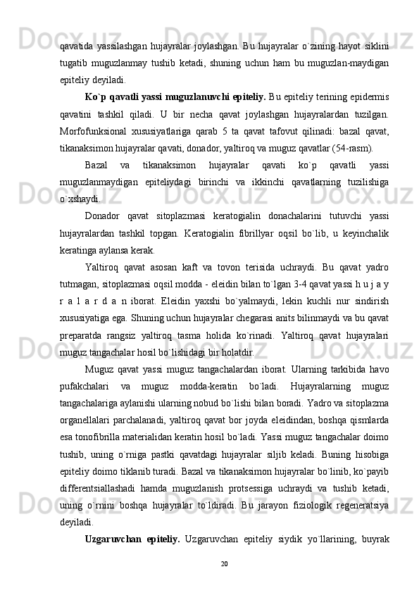 qavatida   yassilashgan   hujayralar   joylashgan.   Bu   hujayralar   o`zining   hayot   siklini
tugatib   muguzlanmay   tushib   ketadi,   shuning   uchun   ham   bu   muguzlan-maydigan
epiteliy deyiladi.
Ko`p qavatli yassi muguzlanuvchi epiteliy.   Bu epiteliy terining epidermis
qavatini   tashkil   qiladi.   U   bir   necha   qavat   joylashgan   hujayralardan   tuzilgan.
Morfofunksional   xususiyatlariga   qarab   5   ta   qavat   tafovut   qilinadi:   bazal   qavat,
tikanaksimon hujayralar qavati, donador, yaltiroq va muguz qavatlar (54-rasm).
Bazal   va   tikanaksimon   hujayralar   qavati   ko`p   qavatli   yassi
muguzlanmaydigan   epiteliydagi   birinchi   va   ikkinchi   qavatlarning   tuzilishiga
o`xshaydi.
Donador   qavat   sitoplazmasi   keratogialin   donachalarini   tutuvchi   yassi
hujayralardan   tashkil   topgan.   Keratogialin   fibrillyar   oqsil   bo`lib,   u   keyinchalik
keratinga aylansa kerak.
Yaltiroq   qavat   asosan   kaft   va   tovon   terisida   uchraydi.   Bu   qavat   yadro
tutmagan, sitoplazmasi oqsil modda - eleidin bilan to`lgan 3-4 qavat yassi h u j a y
r   a   l   a   r   d   a   n   iborat.   Eleidin   yaxshi   bo`yalmaydi,   lekin   kuchli   nur   sindirish
xususiyatiga ega. Shuning uchun hujayralar chegarasi anits bilinmaydi va bu qavat
preparatda   rangsiz   yaltiroq   tasma   holida   ko`rinadi.   Yaltiroq   qavat   hujayralari
muguz tangachalar hosil bo`lishidagi bir holatdir.
Muguz   qavat   yassi   muguz   tangachalardan   iborat.   Ularning   tarkibida   havo
pufakchalari   va   muguz   modda-keratin   bo`ladi.   Hujayralarning   muguz
tangachalariga aylanishi ularning nobud bo`lishi bilan boradi. Yadro va sitoplazma
organellalari   parchalanadi,   yaltiroq   qavat   bor   joyda   eleidindan,   boshqa   qismlarda
esa tonofibrilla materialidan keratin hosil bo`ladi. Yassi muguz tangachalar doimo
tushib,   uning   o`rniga   pastki   qavatdagi   hujayralar   siljib   keladi.   Buning   hisobiga
epiteliy doimo tiklanib turadi. Bazal va tikanaksimon hujayralar bo`linib, ko`payib
differentsiallashadi   hamda   muguzlanish   protsessiga   uchraydi   va   tushib   ketadi,
uning   o`rnini   boshqa   hujayralar   to`ldiradi.   Bu   jarayon   fiziologik   regeneratsiya
deyiladi.
Uzgaruvchan   epiteliy.   Uzgaruvchan   epiteliy   siydik   yo`llarining,   buyrak
20 