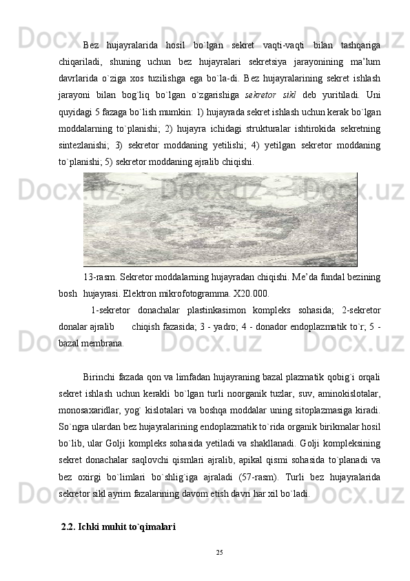 Bez   hujayralarida   hosil   bo`lgan   sekret   vaqti-vaqti   bilan   tashqariga
chiqariladi,   shuning   uchun   bez   hujayralari   sekretsiya   jarayonining   ma’lum
davrlarida   o`ziga   xos   tuzilishga   ega   bo`la-di.   Bez   hujayralarining   sekret   ishlash
jarayoni   bilan   bog`liq   bo`lgan   o`zgarishiga   sekretor   sikl   deb   yuritiladi.   Uni
quyidagi 5 fazaga bo`lish mumkin: 1) hujayrada sekret ishlash uchun kerak bo`lgan
moddalarning   to`planishi;   2)   hujayra   ichidagi   strukturalar   ishtirokida   sekretning
sintezlanishi;   3)   sekretor   moddaning   yetilishi;   4)   yetilgan   sekretor   moddaning
to`planishi; 5) sekretor moddaning ajralib chiqishi.
13-rasm. Sekretor moddalarning hujayradan chiqishi. Me’da fundal bezining
bosh  hujayrasi. Elektron mikrofotogramma. X20.000.
  1-sekretor   donachalar   plastinkasimon   kompleks   sohasida;   2-sekretor
donalar ajralib  chiqish fazasida; 3 - yadro; 4 - donador endoplazmatik to`r; 5 -
bazal membrana.
Birinchi fazada qon va limfadan hujayraning bazal plazmatik qobig`i orqali
sekret   ishlash   uchun   kerakli   bo`lgan   turli   noorganik   tuzlar,   suv,   aminokislotalar,
monosaxaridlar, yog`  kislotalari  va boshqa  moddalar uning sitoplazmasiga  kiradi.
So`ngra ulardan bez hujayralarining endoplazmatik to`rida organik birikmalar hosil
bo`lib, ular Golji kompleks sohasida yetiladi va shakllanadi. Golji kompleksining
sekret   donachalar   saqlovchi   qismlari   ajralib,   apikal   qismi   sohasida   to`planadi   va
bez   oxirgi   bo`limlari   bo`shlig`iga   ajraladi   (57-rasm).   Turli   bez   hujayralarida
sekretor sikl ayrim fazalarining davom etish davri har xil bo`ladi.
 2.2. Ichki muhit to`qimalari
25 