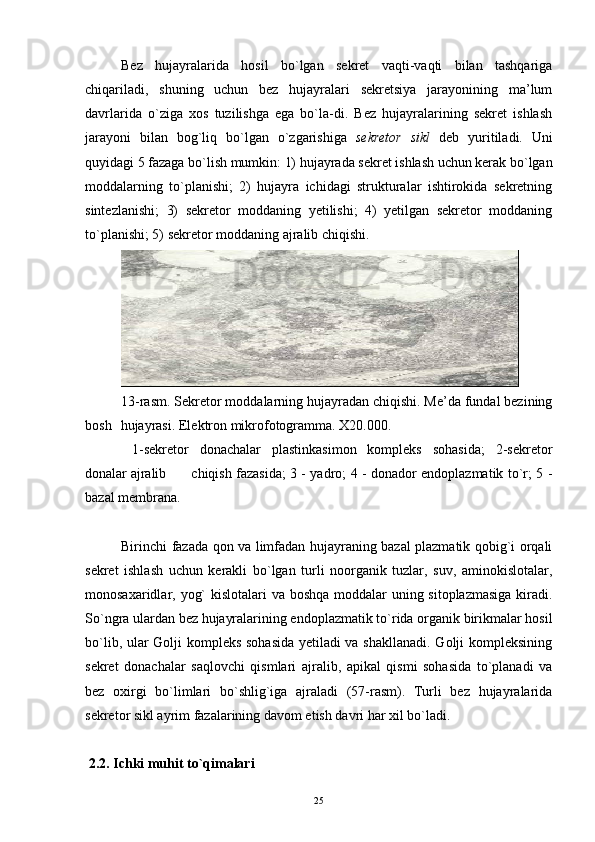 Bez   hujayralarida   hosil   bo`lgan   sekret   vaqti-vaqti   bilan   tashqariga
chiqariladi,   shuning   uchun   bez   hujayralari   sekretsiya   jarayonining   ma’lum
davrlarida   o`ziga   xos   tuzilishga   ega   bo`la-di.   Bez   hujayralarining   sekret   ishlash
jarayoni   bilan   bog`liq   bo`lgan   o`zgarishiga   sekretor   sikl   deb   yuritiladi.   Uni
quyidagi 5 fazaga bo`lish mumkin: 1) hujayrada sekret ishlash uchun kerak bo`lgan
moddalarning   to`planishi;   2)   hujayra   ichidagi   strukturalar   ishtirokida   sekretning
sintezlanishi;   3)   sekretor   moddaning   yetilishi;   4)   yetilgan   sekretor   moddaning
to`planishi; 5) sekretor moddaning ajralib chiqishi.
13-rasm. Sekretor moddalarning hujayradan chiqishi. Me’da fundal bezining
bosh  hujayrasi. Elektron mikrofotogramma. X20.000.
  1-sekretor   donachalar   plastinkasimon   kompleks   sohasida;   2-sekretor
donalar ajralib  chiqish fazasida; 3 - yadro; 4 - donador endoplazmatik to`r; 5 -
bazal membrana.
Birinchi fazada qon va limfadan hujayraning bazal plazmatik qobig`i orqali
sekret   ishlash   uchun   kerakli   bo`lgan   turli   noorganik   tuzlar,   suv,   aminokislotalar,
monosaxaridlar, yog`  kislotalari  va boshqa  moddalar uning sitoplazmasiga  kiradi.
So`ngra ulardan bez hujayralarining endoplazmatik to`rida organik birikmalar hosil
bo`lib, ular Golji kompleks sohasida yetiladi va shakllanadi. Golji kompleksining
sekret   donachalar   saqlovchi   qismlari   ajralib,   apikal   qismi   sohasida   to`planadi   va
bez   oxirgi   bo`limlari   bo`shlig`iga   ajraladi   (57-rasm).   Turli   bez   hujayralarida
sekretor sikl ayrim fazalarining davom etish davri har xil bo`ladi.
 2.2. Ichki muhit to`qimalari
25