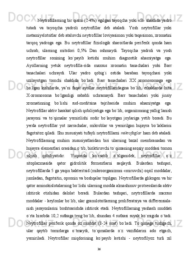 Neytrofillarning bir qismi (2-4%) egilgan tayoqcha yoki «S» shaklida yadro
tutadi   va   tayoqcha   yadroli   neytrofillar   deb   ataladi.   Yosh   neytrofillar   yoki
metamiyelotsitlar deb ataluvchi neytrofillar loviyasimon yoki taqasimon, xromatini
tarqoq   yadroga   ega.   Bu   neytrofillar   fiziologik   sharoitlarda   periferik   qonda   ham
uchrab,   ularning   mitsdori   0,5%   Dan   oshmaydi.   Tayoqcha   yadroli   va   yosh
neytrofillar   sonining   ko`payib   ketishi   muhim   diagnostik   ahamiyatga   ega.
Ayollarning   yetuk   neytrofilla-rida   maxsus   xromatin   tanachalari   yoki   Barr
tanachalari   uchraydi.   Ular   yadro   qobig`i   ostida   baraban   tayoqchasi   yoki
uzilayotgan   tomchi   shaklida   bo`ladi.   Barr   tanachalari   XX   xromosomaga   ega
bo`lgan   kishilarda,   ya’ni   faqat   ayollar   neytrofillaridagina   bo`lib,   erkaklarda   bitta
X-xromosoma   bo`lganligi   sababli   uchramaydi.   Barr   tanachalari   yoki   jinsiy
xromatinning   bo`lishi   sud-meditsina   tajribasida   muhim   ahamiyatga   ega.
Neytrofillar aktiv harakat qilish qobiliyatiga ega bo`lib, organizmning yallig`lanish
jarayoni   va   to`qimalar   yemirilishi   sodir   bo`layotgan   joylariga   yetib   boradi.   Bu
yerda   neytrofillar   yot   zarrachalar,   mikroblar   va   yemirilgan   hujayra   bo`laklarini
fagotsitoz qiladi. Shu xususiyati tufayli neytrofillarni  mikrofaglar  ham deb ataladi.
Neytrofillarning   muhim   xususiyatlaridan   biri   ularning   bazal   membranadan   va
hujayra elementlari orasidan o`tib, biriktiruvchi to`qimaning asosiy moddasi tomon
siljish   qobiliyatidir.   Yuqorida   ko`rsatib   o`tilganidek,   neytrofillar   o`z
sitoplazmasida   qator   gidrolitik   fermentlarni   saqlaydi.   Bulardan   tashqari,
neytrofillarda 5 ga yaqin bakteritsid (mikroorganizmni «miruvchi) oqsil moddalar,
jumladan, fagotsitin, opsonin va boshqalar topilgan. Neytrofillarda glikogen va bir
qator aminokislotalarning bo`lishi ularning modda almashinuv protsesslarida aktiv
ishtirok   etishidan   dalolat   beradi.   Bulardan   tashqari,   neytrofillarda   maxsus
moddalar - keylonlar bo`lib, ular granulotsitlarning proliferatsiya va differensiala-
nish   jarayonlarini   boshtsarishda   ishtirok   etadi.   Neytrofillarning   yashash   muddati
o`rta hisobda 10,2 sutkaga teng bo`lib, shundan 4 sutkasi suyak ko`migida o`tadi.
Neytrofillar   periferik   qonda   oz   muddat   (8-24   soat)   bo`ladi.   To`qimaga   tushgach,
ular   qaytib   tomirlarga   o`tmaydi,   to`qimalarda   o`z   vazifalarini   ado   etgach,
yemiriladi.   Neytrofillar   miqdorining   ko`payib   ketishi   -   neytrofilyoz   turli   xil
36 