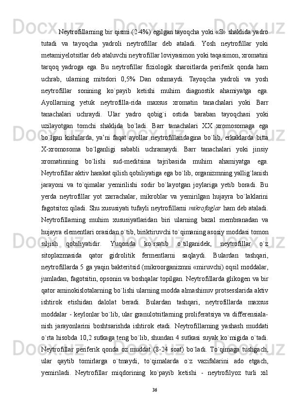 Neytrofillarning bir qismi (2-4%) egilgan tayoqcha yoki «S» shaklida yadro
tutadi   va   tayoqcha   yadroli   neytrofillar   deb   ataladi.   Yosh   neytrofillar   yoki
metamiyelotsitlar deb ataluvchi neytrofillar loviyasimon yoki taqasimon, xromatini
tarqoq   yadroga   ega.   Bu   neytrofillar   fiziologik   sharoitlarda   periferik   qonda   ham
uchrab,   ularning   mitsdori   0,5%   Dan   oshmaydi.   Tayoqcha   yadroli   va   yosh
neytrofillar   sonining   ko`payib   ketishi   muhim   diagnostik   ahamiyatga   ega.
Ayollarning   yetuk   neytrofilla-rida   maxsus   xromatin   tanachalari   yoki   Barr
tanachalari   uchraydi.   Ular   yadro   qobig`i   ostida   baraban   tayoqchasi   yoki
uzilayotgan   tomchi   shaklida   bo`ladi.   Barr   tanachalari   XX   xromosomaga   ega
bo`lgan   kishilarda,   ya’ni   faqat   ayollar   neytrofillaridagina   bo`lib,   erkaklarda   bitta
X-xromosoma   bo`lganligi   sababli   uchramaydi.   Barr   tanachalari   yoki   jinsiy
xromatinning   bo`lishi   sud-meditsina   tajribasida   muhim   ahamiyatga   ega.
Neytrofillar aktiv harakat qilish qobiliyatiga ega bo`lib, organizmning yallig`lanish
jarayoni   va   to`qimalar   yemirilishi   sodir   bo`layotgan   joylariga   yetib   boradi.   Bu
yerda   neytrofillar   yot   zarrachalar,   mikroblar   va   yemirilgan   hujayra   bo`laklarini
fagotsitoz qiladi. Shu xususiyati tufayli neytrofillarni  mikrofaglar  ham deb ataladi.
Neytrofillarning   muhim   xususiyatlaridan   biri   ularning   bazal   membranadan   va
hujayra elementlari orasidan o`tib, biriktiruvchi to`qimaning asosiy moddasi tomon
siljish   qobiliyatidir.   Yuqorida   ko`rsatib   o`tilganidek,   neytrofillar   o`z
sitoplazmasida   qator   gidrolitik   fermentlarni   saqlaydi.   Bulardan   tashqari,
neytrofillarda 5 ga yaqin bakteritsid (mikroorganizmni «miruvchi) oqsil moddalar,
jumladan, fagotsitin, opsonin va boshqalar topilgan. Neytrofillarda glikogen va bir
qator aminokislotalarning bo`lishi ularning modda almashinuv protsesslarida aktiv
ishtirok   etishidan   dalolat   beradi.   Bulardan   tashqari,   neytrofillarda   maxsus
moddalar - keylonlar bo`lib, ular granulotsitlarning proliferatsiya va differensiala-
nish   jarayonlarini   boshtsarishda   ishtirok   etadi.   Neytrofillarning   yashash   muddati
o`rta hisobda 10,2 sutkaga teng bo`lib, shundan 4 sutkasi suyak ko`migida o`tadi.
Neytrofillar   periferik   qonda   oz   muddat   (8-24   soat)   bo`ladi.   To`qimaga   tushgach,
ular   qaytib   tomirlarga   o`tmaydi,   to`qimalarda   o`z   vazifalarini   ado   etgach,
yemiriladi.   Neytrofillar   miqdorining   ko`payib   ketishi   -   neytrofilyoz   turli   xil
36
