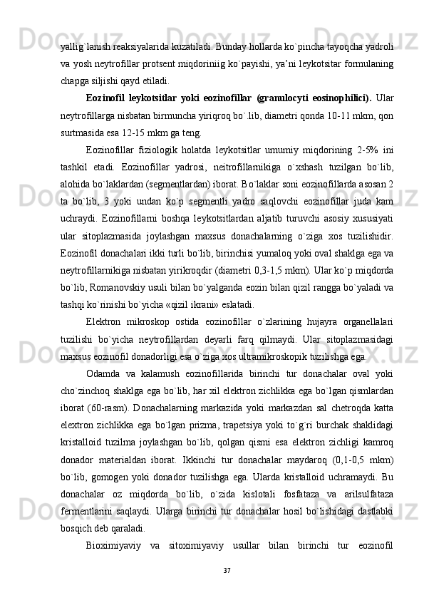 yallig`lanish reaksiyalarida kuzatiladi. Bunday hollarda ko`pincha tayoqcha yadroli
va yosh neytrofillar protsent miqdoriniig ko`payishi, ya’ni leykotsitar formulaning
chapga siljishi qayd etiladi.
Eozinofil   leykotsitlar   yoki   eozinofillar   (granulocyti   eosinophilici).   Ular
neytrofillarga nisbatan birmuncha yiriqroq bo`.lib, diametri qonda 10-11 mkm, qon
surtmasida esa 12-15 mkm ga teng.
Eozinofillar   fiziologik   holatda   leykotsitlar   umumiy   miqdorining   2-5%   ini
tashkil   etadi.   Eozinofillar   yadrosi,   neitrofillarnikiga   o`xshash   tuzilgan   bo`lib,
alohida bo`laklardan (segmentlardan) iborat. Bo`laklar soni eozinofillarda asosan 2
ta   bo`lib,   3   yoki   undan   ko`p   segmentli   yadro   saqlovchi   eozinofillar   juda   kam
uchraydi.   Eozinofillarni   boshqa   leykotsitlardan   aljatib   turuvchi   asosiy   xususiyati
ular   sitoplazmasida   joylashgan   maxsus   donachalarning   o`ziga   xos   tuzilishidir.
Eozinofil donachalari ikki turli bo`lib, birinchisi yumaloq yoki oval shaklga ega va
neytrofillarnikiga nisbatan yirikroqdir (diametri 0,3-1,5 mkm). Ular ko`p miqdorda
bo`lib, Romanovskiy usuli bilan bo`yalganda eozin bilan qizil rangga bo`yaladi va
tashqi ko`rinishi bo`yicha «qizil ikrani» eslatadi.
Elektron   mikroskop   ostida   eozinofillar   o`zlarining   hujayra   organellalari
tuzilishi   bo`yicha   neytrofillardan   deyarli   farq   qilmaydi.   Ular   sitoplazmasidagi
maxsus eozinofil donadorligi esa o`ziga xos ultramikroskopik tuzilishga ega.
Odamda   va   kalamush   eozinofillarida   birinchi   tur   donachalar   oval   yoki
cho`zinchoq shaklga ega bo`lib, har xil elektron zichlikka ega bo`lgan qismlardan
iborat   (60-rasm).   Donachalarning   markazida   yoki   markazdan   sal   chetroqda   katta
elextron   zichlikka   ega   bo`lgan   prizma,   trapetsiya   yoki   to`g`ri   burchak   shaklidagi
kristalloid   tuzilma   joylashgan   bo`lib,   qolgan   qismi   esa   elektron   zichligi   kamroq
donador   materialdan   iborat.   Ikkinchi   tur   donachalar   maydaroq   (0,1-0,5   mkm)
bo`lib,   gomogen   yoki   donador   tuzilishga   ega.   Ularda   kristalloid   uchramaydi.   Bu
donachalar   oz   miqdorda   bo`lib,   o`zida   kislotali   fosfataza   va   arilsulfataza
fermentlarini   saqlaydi.   Ularga   birinchi   tur   donachalar   hosil   bo`lishidagi   dastlabki
bosqich deb qaraladi.
Bioximiyaviy   va   sitoximiyaviy   usullar   bilan   birinchi   tur   eozinofil
37 