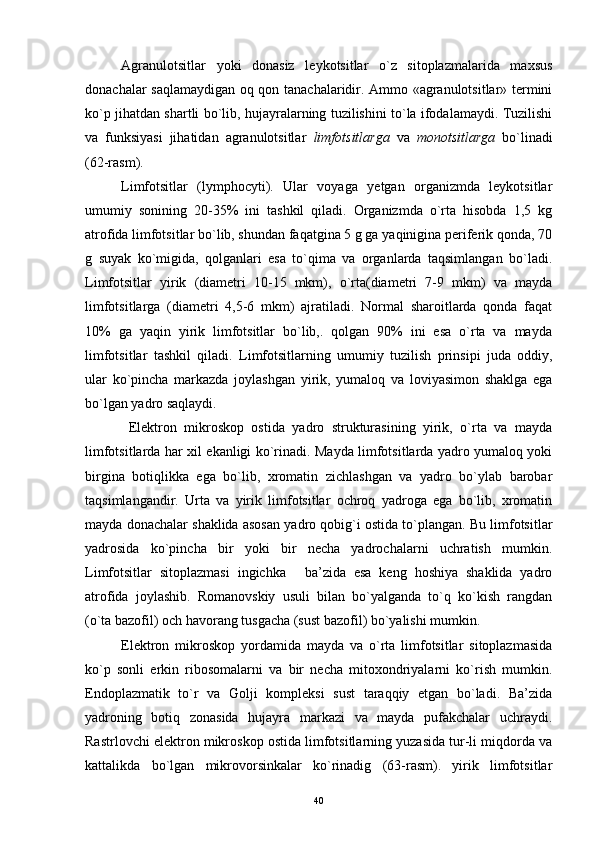 Agranulotsitlar   yoki   donasiz   leykotsitlar   o`z   sitoplazmalarida   maxsus
donachalar saqlamaydigan oq qon tanachalaridir. Ammo «agranulotsitlar» termini
ko`p jihatdan shartli bo`lib, hujayralarning tuzilishini to`la ifodalamaydi. Tuzilishi
va   funksiyasi   jihatidan   agranulotsitlar   limfotsitlarga   va   monotsitlarga   bo`linadi
(62-rasm).
Limfotsitlar   (lymphocyti).   Ular   voyaga   yetgan   organizmda   leykotsitlar
umumiy   sonining   20-35%   ini   tashkil   qiladi.   Organizmda   o`rta   hisobda   1,5   kg
atrofida limfotsitlar bo`lib, shundan faqatgina 5 g ga yaqinigina periferik qonda, 70
g   suyak   ko`migida,   qolganlari   esa   to`qima   va   organlarda   taqsimlangan   bo`ladi.
Limfotsitlar   yirik   (diametri   10-15   mkm),   o`rta(diametri   7-9   mkm)   va   mayda
limfotsitlarga   (diametri   4,5-6   mkm)   ajratiladi.   Normal   sharoitlarda   qonda   faqat
10%   ga   yaqin   yirik   limfotsitlar   bo`lib,.   qolgan   90%   ini   esa   o`rta   va   mayda
limfotsitlar   tashkil   qiladi.   Limfotsitlarning   umumiy   tuzilish   prinsipi   juda   oddiy,
ular   ko`pincha   markazda   joylashgan   yirik,   yumaloq   va   loviyasimon   shaklga   ega
bo`lgan yadro saqlaydi.
  Elektron   mikroskop   ostida   yadro   strukturasining   yirik,   o`rta   va   mayda
limfotsitlarda har xil ekanligi ko`rinadi. Mayda limfotsitlarda yadro yumaloq yoki
birgina   botiqlikka   ega   bo`lib,   xromatin   zichlashgan   va   yadro   bo`ylab   barobar
taqsimlangandir.   Urta   va   yirik   limfotsitlar   ochroq   yadroga   ega   bo`lib,   xromatin
mayda donachalar shaklida asosan yadro qobig`i ostida to`plangan. Bu limfotsitlar
yadrosida   ko`pincha   bir   yoki   bir   necha   yadrochalarni   uchratish   mumkin.
Limfotsitlar   sitoplazmasi   ingichka   ba’zida   esa   keng   hoshiya   shaklida   yadro„
atrofida   joylashib.   Romanovskiy   usuli   bilan   bo`yalganda   to`q   ko`kish   rangdan
(o`ta bazofil) och havorang tusgacha (sust bazofil) bo`yalishi mumkin.
Elektron   mikroskop   yordamida   mayda   va   o`rta   limfotsitlar   sitoplazmasida
ko`p   sonli   erkin   ribosomalarni   va   bir   necha   mitoxondriyalarni   ko`rish   mumkin.
Endoplazmatik   to`r   va   Golji   kompleksi   sust   taraqqiy   etgan   bo`ladi.   Ba’zida
yadroning   botiq   zonasida   hujayra   markazi   va   mayda   pufakchalar   uchraydi.
Rastrlovchi elektron mikroskop ostida limfotsitlarning yuzasida tur-li miqdorda va
kattalikda   bo`lgan   mikrovorsinkalar   ko`rinadig   (63-rasm).   yirik   limfotsitlar
40 