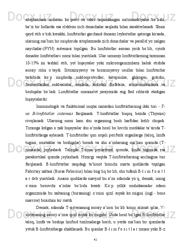 sitoplazmasi   nisbatan   ko`prots   va   tekis   taqsimlangan   mitoxondriyalar   bo`lishi,
ba’zi bir hollarda esa elektron zich donachalar saqlashi bilan xarakterlanadi. Shuni
qayd etib o`tish kerakki, limfotsitlar garchand donasiz leykotsitlar qatoriga kirsada,
ularning ma’lum bir miqdorida sitoplazmada zich donachalar va parallel yo`nalgan
naychalar-(PYN)   sistemasi   topilgan.   Bu   limfotsitlar   asosan   yirik   bo`lib,   «yirik
donador limfotsitlar» nomi bilan yuritiladi. Ular umumiy limfotsitlarning taxminan
10-15%   ini   tashkil   etib,   yot   hujayralar   yoki   mikroorganizmlarni   halok   etishda
asosiy   rolni   o`taydi.   Sitoximiyaviy   va   bioximiyaviy   usullar   bilan   limfotsitlar
tarkibida   ko`p   miqdorda   nukleoproteidlar,   katepsinlar,   glikogen,   gistidin,
fermentlardan   nukleazalar,   amilaza,   kislotali   fosfataza,   sitoxromoksidaza   va
boshqalar   bo`ladi.   Limfotsitlar   immunitet   jarayonida   eng   faol   ishtirok   etadigan
hujayralardir.
Immunologik   va   funktsional   nuqtai   nazardan   limfotsitlarning   ikki   turi   -   T-
va   B-limfotsitlar   sistemasi   farqlanadi.   T-limfotsitlar   buqoq   bezida   (Thymus)
rivojlanadi.   Ularning   nomi   ham   shu   organning   bosh   harfidan   kelib   chiqadi.
Timusga kelgan o`zak hujayralar shu a’zoda hosil bo`luvchi moddalar ta’sirida T-
limfotsitlarga aylanadi. T-limfotsitlar qon orqali  periferik organlarga (taloq, limfa
tuguni,   murtaklar   va   boshqalar)   boradi   va   shu   a’zolarning   ma’lum   qismida   (T-
zonasida)   joylashadi.   Taloqda   T-zona   periarterial   qismda,   limfa   tugunida   esa
parakortikal   qismda   joylashadi.   Hozirgi   vaqtda   T-limfotsitlarning   anchagina   turi
farqlanadi.   B-limfotsitlar   xaqidagi   ta’limot   birinchi   marta   qushlarda   topilgan
Fabritsiy xaltasi (Bursa Fabricius) bilan bog`liq bo`lib, shu tufanli B-l i m f o si t l
a   r   deb   yuritiladi.   Ammo   qushlarda   mavjud   bu   a’zo   odamda   yo`q,   demak,   uning
o`rnini   bosuvchi   a’zolar   bo`lishi   kerak.   Ko`p   yillik   muhokamalar   odam
organizmida   bu   xaltaning   (bursaning)   o`rnini   qizil   suyak   ko`migini   (ingl.-   bone
marrow) bosishini ko`rsatdi.
Demak,   odamda   T-sistemaning   asosiy   a’zosi   bo`lib   timus   xizmat   qilsa,   V-
sistemaning asosiy a’zosi qizil suyak ko`migidir. Unda hosil bo`lgan B-limfotsitlar
taloq,   limfa   va   boshqa   limfoid   tuzilmalarga   borib,   u   yerda   ma’lum   bir   qismlarda
yetuk B-limfotsitlarga shakllanadi. Bu qismlar B-l i m f o s i t l a r zonasi yoki B-z
41 