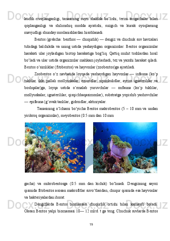 kuchli   rivojlanganligi,   tanasining   suyri   shaklda   bo‘lishi,   terini   tangachalar   bilan
qoplanganligi   va   shilimshiq   modda   ajratishi,   suzgich   va   kurak   oyoqlarning
mavjudligi shunday moslanishlardan hisoblanadi. 
Bentos (grekcha: benthos — chuqurlik) — dengiz va chuchuk suv havzalari
tubidagi   balchikda   va   uning   ustida   yashaydigan   organizmlar.   Bentos   organizmlar
harakati   ular   joylashgan   biotop   harakatiga   bog‘liq.   Qattiq   muhit   toshlardan   hosil
bo‘ladi va ular ustida organizmlar mahkam joylashadi, tez va yaxshi harakat qiladi.
Bentos o simliklar (fitobentos) va hayvonlar (zoobentos)ga ajratiladi. ʻ
Zoobentos   o z   navbatida   loyqada   yashaydigan   hayvonlar   —   infauna   (ko p	
ʻ ʻ
tuklilar.   ikki   pallali   mollyuskalar,   exiuridlar,   sipunkulidlar,   ayrim   ignaterililar   va
boshqalar)ga,   loyqa   ustida   o rmalab   yuruvchilar   —   onfauna   (ko p   tuklilar,	
ʻ ʻ
mollyuskalar, ignaterililar, qisqichbaqasimonlar), substratga yopishib yashovchilar
— epifauna (g ovak tanlilar, gidroidlar, aktiniyalar. 	
ʻ
                 Tanasining  o lchami  bo yicha Bentos  makrobentos  (5 – 10 mm  va undan	
ʻ ʻ
yirikroq organizmlar), meyobentos (0.5 mm dan 10 mm
gacha)   va   mikrobentosga   (0.5   mm   dan   kichik)   bo linadi.   Dengizning   sayoz	
ʻ
qismida fitobentos asosan makrofitlar suvo tlaridan, chuqur qismida esa hayvonlar	
ʻ
va bakteriyalardan iborat. 
Dengizlarda   Bentos   biomassasi   chuqurlik   ortishi   bilan   kamayib   boradi.
Okean Bentos yalpi biomassasi 10— 12 mlrd. t ga teng. Chuchuk suvlarda Bentos
19 