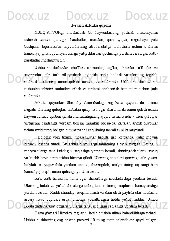 1- rasm . Arktika quyoni
XULQ-ATVORga   moslashish   bu   hayvonlarning   yashash   imkoniyatini
oshirish   uchun   qiladigan   harakatlar,   masalan,   qish   uyqusi,   migratsiya   yoki
boshpana   topish.Ba’zi   hayvonlarning   atrof-muhitga   aralashish   uchun   o’zlarini
kamuflyaj qilish qobiliyati ularga yirtqichlardan qochishga yordam beradigan xatti-
harakatlar moslashuvidir. 
Ushbu   moslashuvlar   cho’llar ,   o’rmonlar,   tog’lar,   okeanlar,   o’tloqlar   va
savannalar   kabi   turli   xil   yashash   joylarida   sodir   bo’ladi   va   ularning   tegishli
muhitida   turlarning   omon   qolishi   uchun   juda   muhimdir.   Ushbu   moslashuvlarni
tushunish   tabiatni   muhofaza   qilish   va   turlarni   boshqarish   harakatlari   uchun   juda
muhimdir.
Arktika   quyonlari   Shimoliy   Amerikadagi   eng   katta   quyonlardir,   ammo
negadir ularning quloqlari nisbatan qisqa. Bu og'ir sharoitlarda omon qolish uchun
hayvon nimani qurbon qilishi mumkinligining ajoyib namunasidir - uzun quloqlar
yirtqichni   eshitishga   yordam   berishi   mumkin   bo'lsa-da,   kaltalari   arktik   quyonlar
uchun muhimroq bo'lgan qimmatbaho issiqlikning tarqalishini kamaytiradi.
Fiziologik   yoki   tizimli   moslashuvlar   haqida   gap   ketganda,   qalin   mo'yna
birinchi   o'rinda   turadi.   Bu   arktik   quyonlarga   tabiatning   ajoyib   sovg'asi.   Bu   qalin
mo'yna   ularga   tana   issiqligini   saqlashga   yordam   beradi,   shuningdek   ularni   sovuq
va kuchli havo oqimlaridan himoya qiladi. Ularning panjalari qorning ustki yuzasi
bo'ylab   tez   yugurishda   yordam   beradi,   shuningdek,   mo'ynasining   oq   rangi   ham
kamuflyaj orqali omon qolishga yordam beradi.  
Ba'zi   xatti-harakatlar   ham   og'ir   sharoitlarga   moslashishga   yordam   beradi.
Ularning   holati   va   yo'nalishi   ularga   ochiq   tana   sirtining   miqdorini   kamaytirishga
yordam beradi. Xuddi shunday, ovqatlantirish va dam olish paytida ular tanalarini
asosiy   havo   oqimlari   orqa   tomonga   yo'naltirilgan   holda   yo'naltiradilar.   Ushbu
ikkala xatti-harakat o'zgarishi ularga tana issiqligini saqlashga yordam beradi.  
Osiyo g'ozlari Himoloy tog'larini kesib o'tishda ulkan balandliklarga uchadi.
Ushbu   qushlarning   eng   baland   parvozi   10   ming   metr   balandlikda   qayd   etilgan!
7 