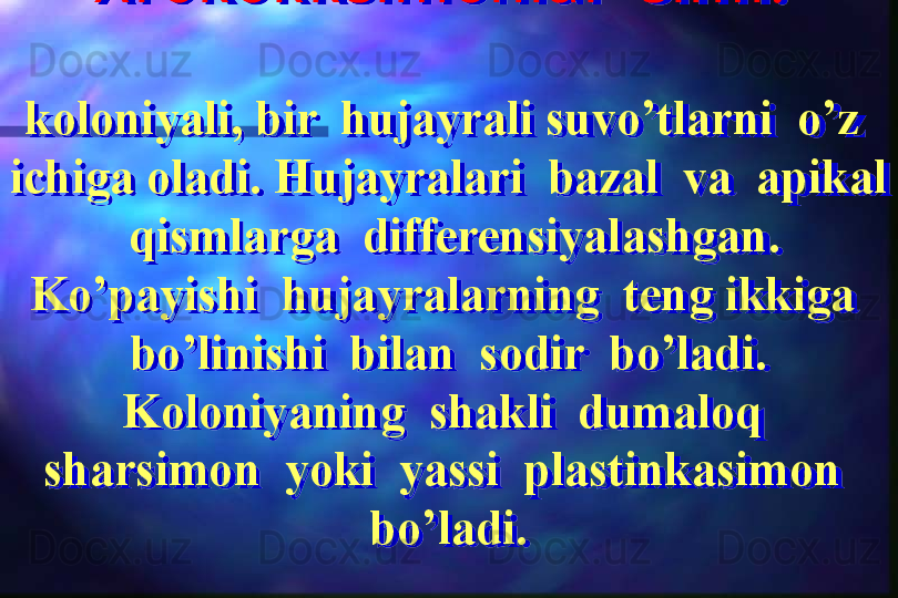 X rok ok k simonlar  sinfi . 
koloniyali, bir  hujayrali suvo’tlarni  o’z  
ichiga oladi. Hujayralari  bazal  va  apikal 
 qismlarga  differensiyalashgan. 
Ko’payishi  hujayralarning  teng ikkiga  
bo’linishi  bilan  sodir  bo’ladi. 
Koloniyaning  shakli  dumaloq  
sharsimon  yoki  yassi  plastinkasimon  
bo’ladi.  