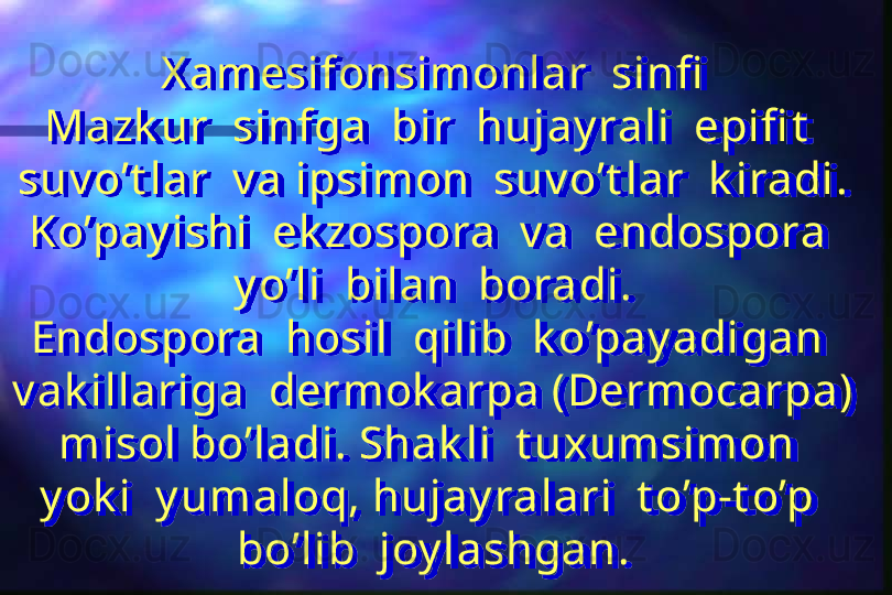 X amesifonsimonlar  sinfi
Mazk ur  sinfga  bir  hujay rali  epifi t   
suv o’t lar  v a ipsimon  suv o’t lar  k iradi.
Ko’pay ishi  ek zospora  v a  endospora  
y o’li  bilan  boradi.
Endospora  hosil  qilib  k o’pay adigan  
v ak illariga  dermok arpa (Dermocarpa) 
misol bo’ladi. Shak li  t uxumsimon  
y ok i  y umaloq, hujay ralari  t o’p-t o’p  
bo’lib  joy lashgan.  