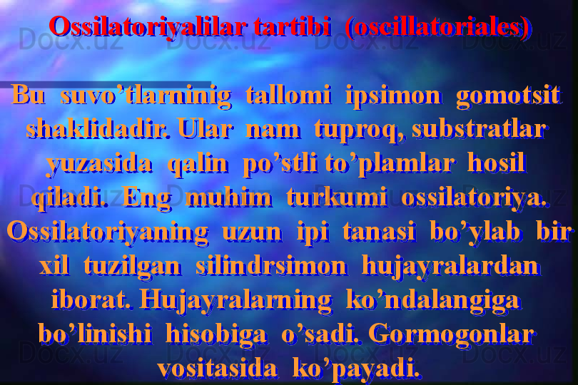 Ossilatoriyalilar tartibi  (oscillatoriales)
Bu  suvo’tlarninig  tallomi  ipsimon  gomotsit  
shaklidadir. Ular  nam  tuproq, substratlar  
yuzasida  qalin  po’stli to’plamlar  hosil  
qiladi.  Eng  muhim  turkumi  ossilatoriya. 
Ossilatoriyaning  uzun  ipi  tanasi  bo’ylab  bir 
 xil  tuzilgan  silindrsimon  hujayralardan  
iborat. Hujayralarning  ko’ndalangiga  
bo’linishi  hisobiga  o’sadi. Gormogonlar  
vositasida  ko’payadi.  