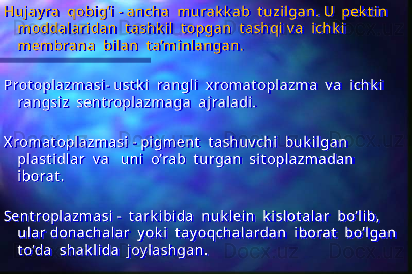 Hujay ra  qobig’i - ancha  murak k ab  t uzilgan. U  pek t in  
moddalaridan  t ashk il  t opgan  t ashqi v a  ichk i  
membrana  bilan  t a’minlangan.
Prot oplazmasi- ust k i  rangli  xromat oplazma  v a  ichk i  
rangsiz  sent roplazmaga  ajraladi.
X romat oplazmasi - pigment   t ashuv chi  buk ilgan  
plast idlar  v a   uni  o’rab  t urgan  sit oplazmadan  
iborat .
Sent roplazmasi -  t ark ibida  nuk lein  k islot alar  bo’lib,  
ular donachalar  y ok i  t ay oqchalardan  iborat   bo’lgan  
t o’da  shak lida  joy lashgan.  