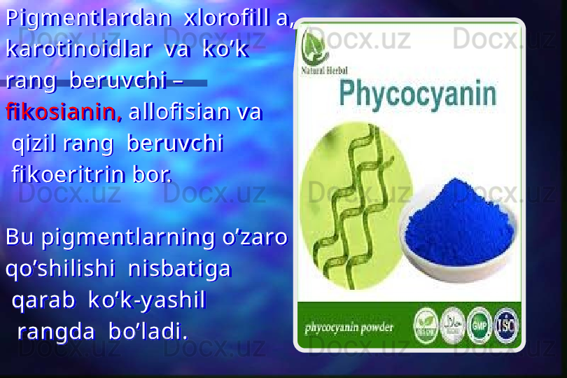 Pigment lardan  xlorofi ll a,
k arot inoidlar  v a  k o’k  
rang  beruv chi –
fi k osianin,  allofi sian v a
  qizil rang  beruv chi 
  fi k oerit rin bor.
Bu pigment larning o’zaro  
qo’shilishi  nisbat iga 
  qarab  k o’k -y ashil
   rangda  bo’ladi.  