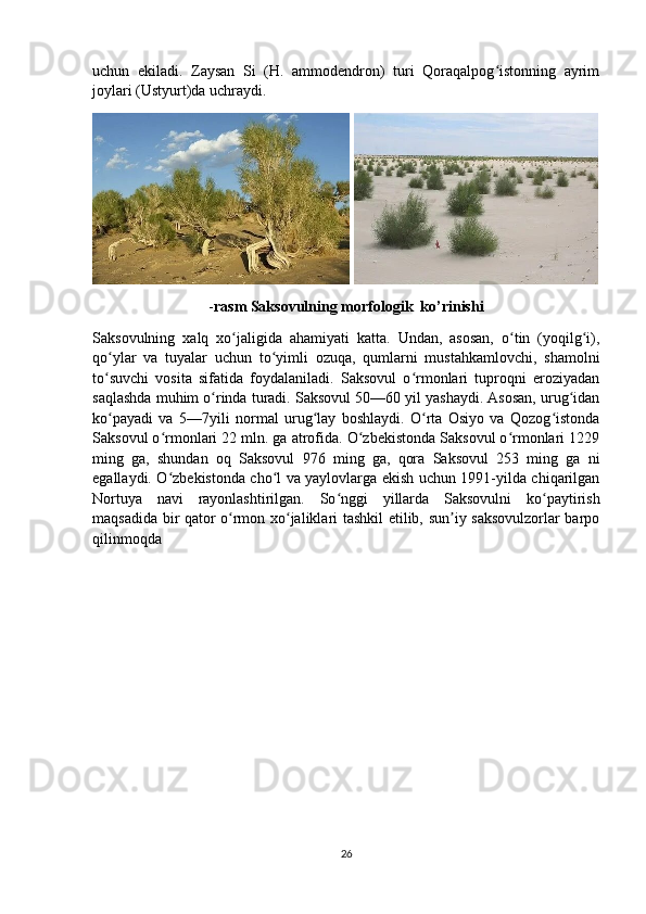 uchun   ekiladi.   Zaysan   Si   (H.   ammodendron)   turi   Qoraqalpog istonning   ayrimʻ
joylari (Ustyurt)da uchraydi. 
 
- rasm Saksovulning morfologik  ko’rinishi
Saksovulning   xalq   xo jaligida   ahamiyati   katta.   Undan,   asosan,   o tin   (yoqilg i),	
ʻ ʻ ʻ
qo ylar   va   tuyalar   uchun   to yimli   ozuqa,   qumlarni   mustahkamlovchi,   shamolni	
ʻ ʻ
to suvchi   vosita   sifatida   foydalaniladi.   Saksovul   o rmonlari   tuproqni   eroziyadan
ʻ ʻ
saqlashda muhim o rinda turadi. Saksovul 50—60 yil yashaydi. Asosan, urug idan	
ʻ ʻ
ko payadi   va   5—7yili   normal   urug lay   boshlaydi.   O rta   Osiyo   va   Qozog istonda	
ʻ ʻ ʻ ʻ
Saksovul o rmonlari 22 mln. ga atrofida. O zbekistonda Saksovul o rmonlari 1229	
ʻ ʻ ʻ
ming   ga,   shundan   oq   Saksovul   976   ming   ga,   qora   Saksovul   253   ming   ga   ni
egallaydi. O zbekistonda cho l va yaylovlarga ekish uchun 1991-yilda chiqarilgan
ʻ ʻ
Nortuya   navi   rayonlashtirilgan.   So nggi   yillarda   Saksovulni   ko paytirish	
ʻ ʻ
maqsadida bir qator o rmon xo jaliklari tashkil etilib, sun iy saksovulzorlar barpo	
ʻ ʻ ʼ
qilinmoqda
26 