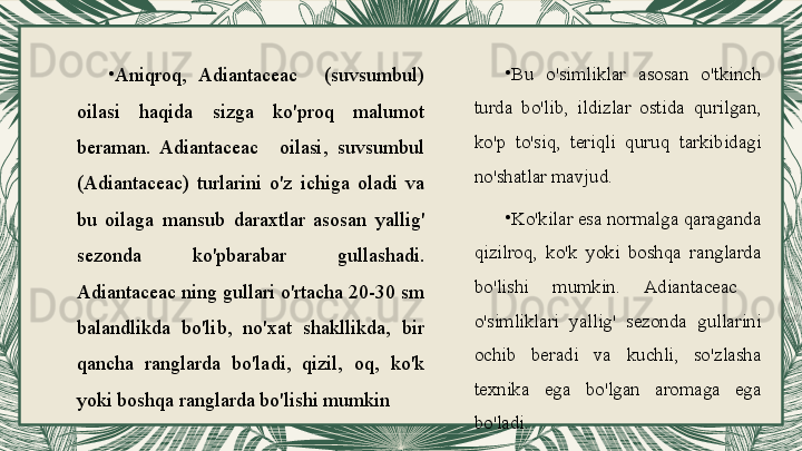 •
Aniqroq,  Adiantaceac    (suvsumbul) 
oilasi  haqida  sizga  ko'proq  malumot 
beraman.  Adiantaceac    oilasi,  suvsumbul 
(Adiantaceac)  turlarini  o'z  ichiga  oladi  va 
bu  oilaga  mansub  daraxtlar  asosan  yallig' 
sezonda  ko'pbarabar  gullashadi. 
Adiantaceac ning gullari o'rtacha 20-30 sm 
balandlikda  bo'lib,  no'xat  shakllikda,  bir 
qancha  ranglarda  bo'ladi,  qizil,  oq,  ko'k 
yoki boshqa ranglarda bo'lishi mumkin •
Bu  o'simliklar  asosan  o'tkinch 
turda  bo'lib,  ildizlar  ostida  qurilgan, 
ko'p  to'siq,  teriqli  quruq  tarkibidagi 
no'shatlar mavjud.
•
Ko'kilar esa normalga qaraganda 
qizilroq,  ko'k  yoki  boshqa  ranglarda 
bo'lishi  mumkin.  Adiantaceac   
o'simliklari  yallig'  sezonda  gullarini 
ochib  beradi  va  kuchli,  so'zlasha 
texnika  ega  bo'lgan  aromaga  ega 
bo'ladi.  