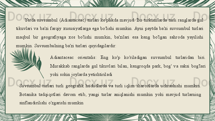 Yerda  suvsumbul  (Adiantaceac)  turlari  ko'plikda  mavjud.  Bu  turkumlarda  turli  ranglarda  gul 
tikuvlari  va  ba'zi  farqiy  xususiyatlarga  ega  bo'lishi  mumkin. Ayni  paytda  ba'zi  suvsumbul  turlari 
maqbul  bir  geografiyaga  xos  bo'lishi  mumkin,  ba'zilari  esa  keng  bo'lgan  sahroda  yayilishi 
mumkin. Suvsumbulning ba'zi turlari quyidagilardir:
Adiantaceac  orientalis:  Eng  ko'p  ko'riladigan  suvsumbul  turlaridan  biri. 
Murakkab  ranglarda  gul  tikuvlari  bilan,  kengroqda  park,  bog'  va  saksi  bog'lari 
yoki sokin joylarda yetishtiriladi
Suvsumbul  turlari  turli  geografik  hududlarda  va  turli  iqlim  sharoitlarda  uchrashishi  mumkin. 
Botanika  tadqiqotlari  davom  etib,  yangi  turlar  aniqlanishi  mumkin  yoki  mavjud  turlarning 
sinflandirilishi o'zgarishi mumkin 