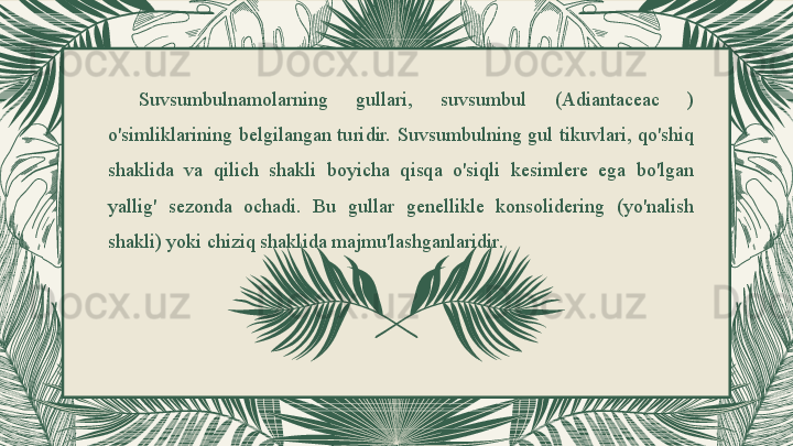 Suvsumbulnamolarning  gullari,  suvsumbul  (Adiantaceac  ) 
o'simliklarining  belgilangan  turidir.  Suvsumbulning  gul  tikuvlari,  qo'shiq 
shaklida  va  qilich  shakli  boyicha  qisqa  o'siqli  kesimlere  ega  bo'lgan 
yallig'  sezonda  ochadi.  Bu  gullar  genellikle  konsolidering  (yo'nalish 
shakli) yoki chiziq shaklida majmu'lashganlaridir. 