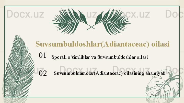 Suvsumbuldoshlar(Adiantaceac) oilasi
01
02 Sporali o’simliklar va Suvsumbuldoshlar oilasi
Suvsumbulnamolar(Adiantaceac) oilasining ahamiyati 