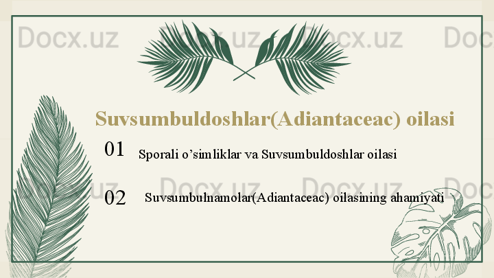 Suvsumbuldoshlar(Adiantaceac) oilasi
01
02 Sporali o’simliklar va Suvsumbuldoshlar oilasi
Suvsumbulnamolar(Adiantaceac) oilasining ahamiyati