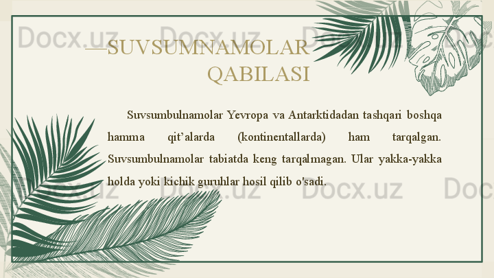 — SUVSUMNAMOLAR 
QABILASI
Suvsumbulnamolar  Yevropa  va Antarktidadan  tashqari  boshqa 
hamma  qit’alarda  (kontinentallarda)  ham  tarqalgan. 
Suvsumbulnamolar  tabiatda  keng  tarqalmagan.  Ular  yakka-yakka 
holda yoki kichik guruhlar hosil qilib o'sadi.
