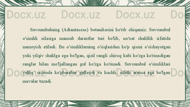 Suvsumbulning  (Adiantaceac)  botanikasini  ko'rib  chiqamiz.  Suvsumbul 
o'simlik  oilasiga  mansub  daraxtlar  turi  bo'lib,  no'xat  shakllik  sifatida 
namoyish  etiladi.  Bu  o'simliklarning  o'siqlaridan  ko'p  qismi  o'sishayotgan 
yoki  yilqiv  shaklga  ega  bo'lgan,  qizil  rangli  chiroq  kabi  ko'zga  ko'rinadigan 
ranglar  bilan  mo'ljallangan  gul  ko'zga  ko'rinadi.  Suvsumbul  o'simliklari 
yallig'  sezonda  ko'pbarabar  gullaydi  va  kuchli,  sifatli  aroma  ega  bo'lgan 
mevalar tuzadi. 