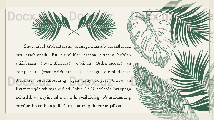 Suvsumbul  (Adiantaceac)  oilasiga  mansub  daraxtlardan 
biri  hisoblanadi.  Bu  o'simliklar  asosan  o'rtacha  bo'ylab 
shifobaxsh  (hyacinthoides),  o'tkinch  (Adiantaceac)  va 
kompakttir  (pseudoAdiantaceac)  turdagi  o'simliklardan 
iboratdir.  Suvsumbulning  ilgari  asliy  bo'ylab  Osiyo  va 
Batafitariqda tabiatga oid edi, lekin 17-18 asrlarda Evropaga 
keltirildi  va  keyinchalik  bu  xilma-xillikdagi  o'simliklarning 
ba'zilari botanik va gullash ustalarining diqqatini jalb etdi 