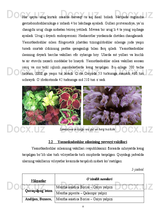 Har   qaysi   urug`kurtak   orasida   barvaqt   to`siq   hosil   boladi.   Natijada   tuguncha
gavzabondoshlarnikiga o`xshash 4 bo`lakchaga ajraladi. Gullari proterandiya, ya’ni
changchi urug`chiga nisbatan tezroq yetiladi. Mevasi bir urug`li 4 ta yong`oqchaga
ajraladi. Urug`i deyarli endospermsiz. Hasharotlar yordamida chetdan changlanadi.
Yasnotkadoshlar   oilasi   filogenetik   jihatdan   tizimguldoshlar   oilasiga   juda   yaqin
turadi   murtak   ildizining   pastka   qaraganligi   bilan   farq   qiladi.   Yasnotkadoshlar
ilasining   deyarli   barcha   vakillari   efir   oylariga   boy.   Ularda   sut   yollari   va   kuchli
ta`sir etuvchi zaxarli moddalar bo`lmaydi. Yasnotkadoshlar  oilasi vakillari asosan
issiq   va   mo`tadil   iqlimli   mamlakatlarda   keng   tarqalgan.   Bu   oilaga   200   tacha
turkum,   3000   ga   yaqin   tur   kiradi.   O`rta   Osiyoda   53   turkumga   mansub   460   turi
uchraydi. O`zbekistonda 42 turkumga oid 210 turi o`sadi. 
  
Lamiaceae oilasiga xos gul va barg tuzilishi
2.2             Yasnotkadoshlar oilasining yovvoyi vakillari   
Yasnotkadoshlar oilasining vakillari respublikamiz florasida nihoyatda keng
tarqalgan bo’lib ular turli viloyatlarda turli miqdorda tarqalgan. Quyidagi jadvalda
ularning vakillarini viloyatlar kesimida tarqalish nisbati ko’rsatilgan:
1-jadval
Viloyatlar O`simlik nomlari
Qoraqalpog`iston Mentha asiatica Boriss – Osiyo yalpizi
Mentha piperita – Qalampir yalpiz
Andijon, Buxoro, Mentha asiatica Boriss – Osiyo yalpizi
6 