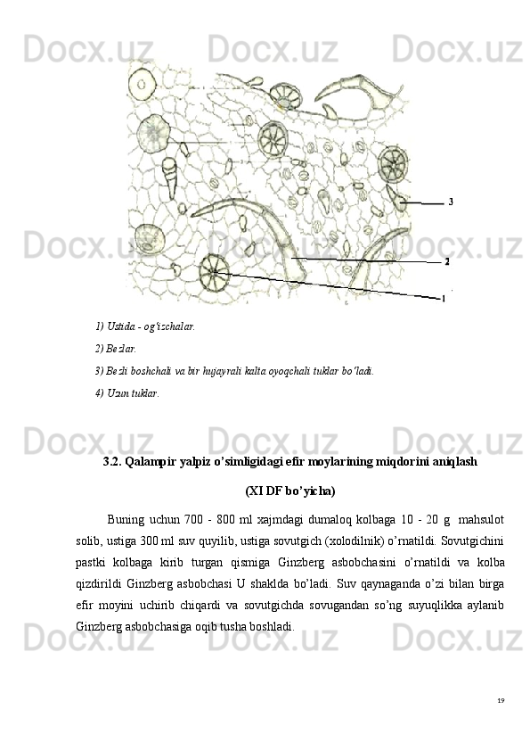 191) Ustida - og‘izchalar.
2) Bezlar.
3) Bezli boshchali va bir hujayrali kalta oyoqchali tuklar bo‘ladi.
4) Uzun tuklar.
3.2. Qalampir yalpiz o’simligidagi efir moylarining miqdorini aniqlash
(XI DF b o’ yicha)
Buning   uchun   700   -   800   ml   xajmdagi   dumaloq   kolbaga   10   -   20   g     mahsulot
solib, ustiga 300 ml suv quyilib, ustiga sovutgich (xolodilnik) o’rnatildi. Sovutgichini
pastki   kolbaga   kirib   turgan   qismiga   Ginzb е rg   asbobchasini   o’rnatildi   va   kolba
qizdirildi   Ginzb е rg   asbobchasi   U   shaklda   bo’ladi.   Suv   qaynaganda   o’zi   bilan   birga
efir   moyini   uchirib   chiqardi   va   sovutgichda   sovugandan   so’ng   suyuqlikka   aylanib
Ginzb е rg asbobchasiga oqib tusha  boshla di.  