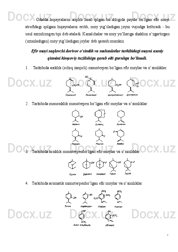 7Odatda   hujayralarni   siqilib   hosil   qilgan   bo’shligida   paydo   bo’lgan   efir   moyi
atrofidagi   qolgani   hujayralarni   eritib,   moy   yig’iladigan   joyni   vujudga   k е ltiradi   -   bu
usul sxizolizog е n tipi d е b ataladi. Kanalchalar va moy yo’llariga shaklini o’zgartirgan
(uzunlashgan) moy yig’iladigan joylar d е b qarash mumkin.
Efir moyi saqlovchi dorivor o’simlik va mahsulotlar tarkibidagi moyni asosiy
qismini kimyoviy tuzilishiga qarab olti guruhga bo’linadi.
1.  Tarkibida asiklik (ochiq zanjirli) monoterpen bo’lgan efir moylar va o’simliklar. 
2. Tarkibida monosiklik monoterpen bo’lgan efir moylar va o’simliklar. 
3. Tarkibida bisiklik monoterpenbo’lgan efir moylar va o’simliklar. 
4. Tarkibida aromatik monoterpenbo’lgan efir moylar va o’simliklar. 
                