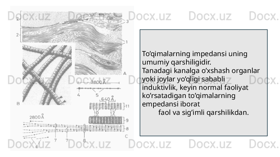 To’qimalarning impedansi uning 
umumiy qarshiligidir.
Tanadagi kanalga o’xshash organlar 
yoki joylar yo’qligi sababli
induktivlik, keyin normal faoliyat 
ko’rsatadigan to’qimalarning 
empedansi iborat
faol va sig’imli qarshilikdan. 