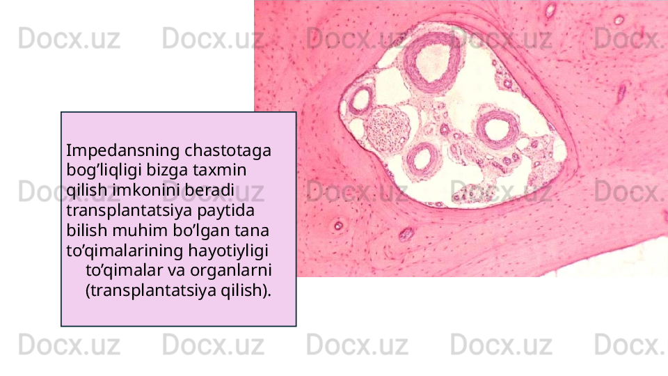 Impedansning chastotaga 
bog’liqligi bizga taxmin 
qilish imkonini beradi
transplantatsiya paytida 
bilish muhim bo’lgan tana 
to’qimalarining hayotiyligi
to’qimalar va organlarni 
(transplantatsiya qilish). 