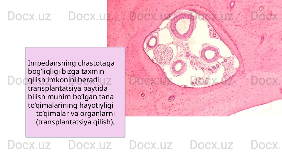 Impedansning chastotaga 
bog’liqligi bizga taxmin 
qilish imkonini beradi
transplantatsiya paytida 
bilish muhim bo’lgan tana 
to’qimalarining hayotiyligi
to’qimalar va organlarni 
(transplantatsiya qilish).