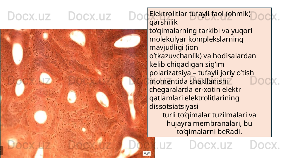 Elektrolitlar tufayli faol (ohmik) 
qarshilik
to’qimalarning tarkibi va yuqori 
molekulyar komplekslarning 
mavjudligi (ion
o’tkazuvchanlik) va hodisalardan 
kelib chiqadigan sig’im
polarizatsiya – tufayli joriy o’tish 
momentida shakllanishi
chegaralarda er-xotin elektr 
qatlamlari elektrolitlarining 
dissotsiatsiyasi
turli to’qimalar tuzilmalari va 
hujayra membranalari, bu 
to’qimalarni beRadi. 