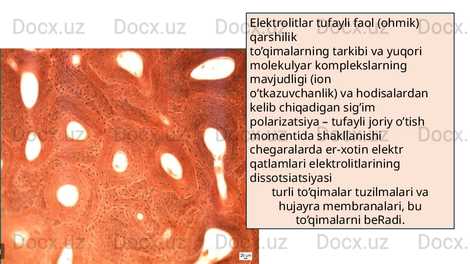 Elektrolitlar tufayli faol (ohmik) 
qarshilik
to’qimalarning tarkibi va yuqori 
molekulyar komplekslarning 
mavjudligi (ion
o’tkazuvchanlik) va hodisalardan 
kelib chiqadigan sig’im
polarizatsiya – tufayli joriy o’tish 
momentida shakllanishi
chegaralarda er-xotin elektr 
qatlamlari elektrolitlarining 
dissotsiatsiyasi
turli to’qimalar tuzilmalari va 
hujayra membranalari, bu 
to’qimalarni beRadi.