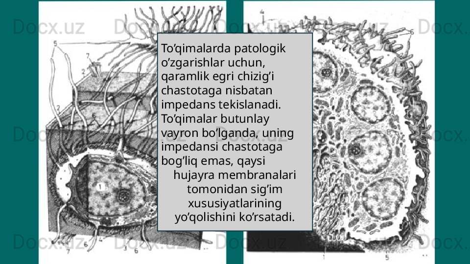 To’qimalarda patologik 
o’zgarishlar uchun, 
qaramlik egri chizig’i
chastotaga nisbatan 
impedans tekislanadi.
To’qimalar butunlay 
vayron bo’lganda, uning 
impedansi chastotaga 
bog’liq emas, qaysi
hujayra membranalari 
tomonidan sig’im 
xususiyatlarining 
yo’qolishini ko’rsatadi. 