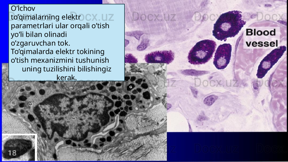 O’lchov
to’qimalarning elektr 
parametrlari ular orqali o’tish 
yo’li bilan olinadi
o’zgaruvchan tok.
To’qimalarda elektr tokining 
o’tish mexanizmini tushunish
uning tuzilishini bilishingiz 
kerak. 