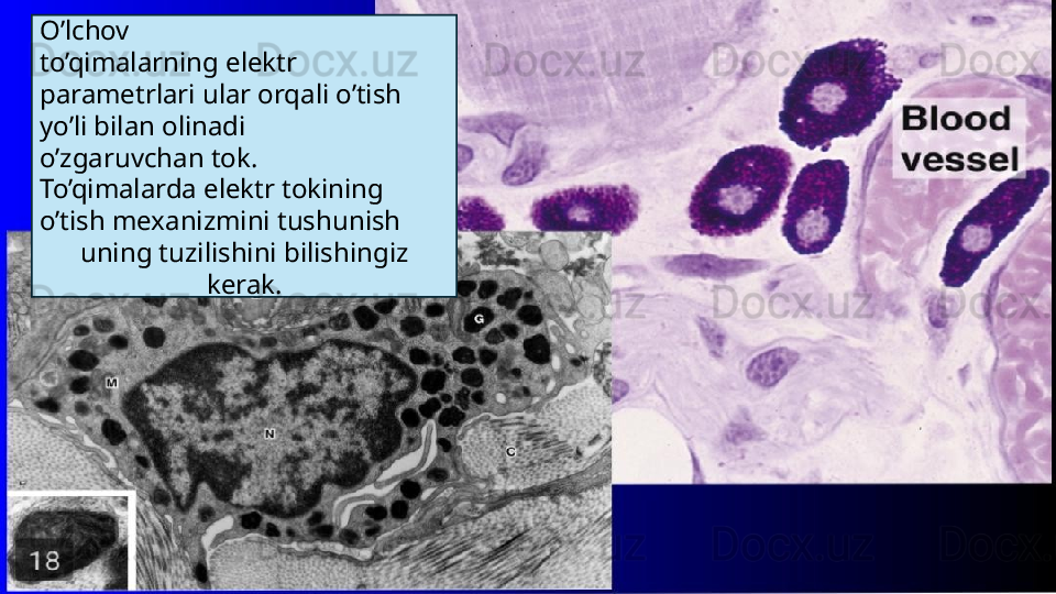 O’lchov
to’qimalarning elektr 
parametrlari ular orqali o’tish 
yo’li bilan olinadi
o’zgaruvchan tok.
To’qimalarda elektr tokining 
o’tish mexanizmini tushunish
uning tuzilishini bilishingiz 
kerak.