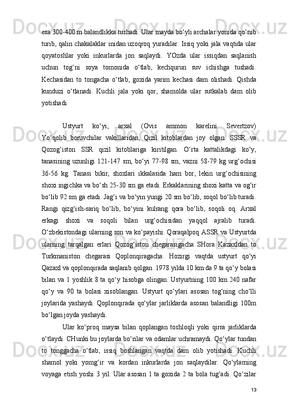 esa 300-400 m balandlikka tushadi. Ular mayda bo‘yli archalar yonida qo‘nib
turib, qalin chakalaklar inidan uzoqroq yuradilar. Issiq yoki jala vaqtida ular
qoyatoshlar   yoki   inkurlarda   jon   saqlaydi.   YOzda   ular   issiqdan   saqlanish
uchun   tog‘ni   soya   tomonida   o‘tlab,   kechqurun   suv   ichishga   tushadi.
Kechasidan   to   tongacha   o‘tlab,   goxida   yarim   kechasi   dam   olishadi.   Qishda
kunduzi   o‘tlanadi.   Kuchli   jala   yoki   qor,   shamolda   ular   sutkalab   dam   olib
yotishadi.
Ustyurt   ko‘yi;   arxal   (Ovis   ammon   karelini   Severtzov)
Yo‘qolib   boruvchilar   vakillaridan,   Qizil   kitoblardan   joy   olgan.   SSSR   va
Qozog‘iston   SSR   qizil   kitoblariga   kiritilgan.   O‘rta   kattalikdagi   ko‘y,
tanasining   uzunligi   121-147   sm,   bo‘yi   77-98   sm,   vazni   58-79   kg   urg‘ochisi
36-56   kg.   Tanasi   bikir,   shoxlari   ikkalasida   ham   bor,   lekin   urg‘ochisining
shoxi ingichka va bo‘sh 25-30 sm ga etadi. Erkaklarining shoxi katta va og‘ir
bo‘lib 92 sm ga etadi. Jag‘i va bo‘yin yungi 20 sm bo‘lib, soqol bo‘lib turadi.
Rangi   qizg‘ish-sariq   bo‘lib,   bo‘yini   kulrang   qora   bo‘lib,   soqoli   oq.   Arxal
erkagi   shoxi   va   soqoli   bilan   urg‘ochisidan   yaqqol   ajralib   turadi.
O‘zbekistondagi ularning son va ko‘payishi. Qoraqalpoq ASSR va Ustyurtda
ularning   tarqalgan   erlari   Qozog‘iston   chegarasigacha   SHora   Kazaxldan   to
Turkmaniston   chegarasi   Qoplonqiragacha.   Hozirgi   vaqtda   ustyurt   qo‘yi
Qazaxl va qoplonqirada saqlanib qolgan. 1978 yilda 10 km da 9 ta qo‘y bolasi
bilan va 1 yoshlik 8 ta qo‘y hisobga olingan. Ustyurtning 100 km  240 nafar
qo‘y   va   90   ta   bolasi   xisoblangan.   Ustyurt   qo‘ylari   asosan   tog‘ning   cho‘lli
joylarida   yashaydi.   Qoplonqirada   qo‘ylar   jarliklarda   asosan   balandligi   100m
bo‘lgan joyda yashaydi.
Ular   ko‘proq   maysa   bilan   qoplangan   toshloqli   yoki   qirra   jarliklarda
o‘tlaydi. CHunki bu joylarda bo‘rilar va odamlar uchramaydi. Qo‘ylar tundan
to   tonggacha   o‘tlab,   issiq   boshlangan   vaqtda   dam   olib   yotishadi.   Kuchli
shamol   yoki   yomg‘ir   va   kordan   inkurlarda   jon   saqlaydilar.   Qo‘ylarning
voyaga etish yoshi  3 yil. Ular  asosan 1 ta goxida 2 ta bola tug‘adi. Qo‘zilar
13
