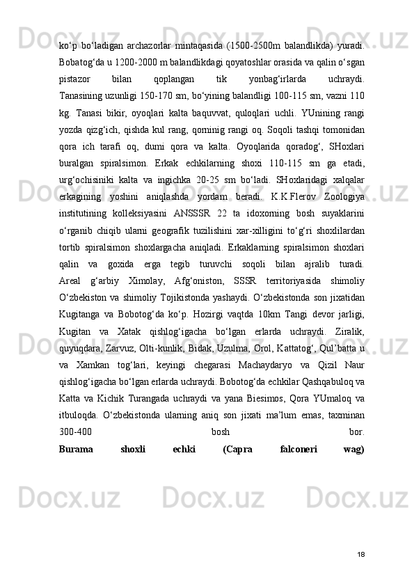 ko‘p   bo‘ladigan   archazorlar   mintaqasida   (1500-2500m   balandlikda)   yuradi.
Bobatog‘da u 1200-2000 m balandlikdagi qoyatoshlar orasida va qalin o‘sgan
pistazor   bilan   qoplangan   tik   yonbag‘irlarda   uchraydi.
Tanasining uzunligi 150-170 sm, bo‘yining balandligi 100-115 sm, vazni 110
kg.   Tanasi   bikir,   oyoqlari   kalta   baquvvat,   quloqlari   uchli.   YUnining   rangi
yozda  qizg‘ich,  qishda  kul  rang,  qorninig  rangi  oq.  Soqoli   tashqi  tomonidan
qora   ich   tarafi   oq,   dumi   qora   va   kalta.   Oyoqlarida   qoradog‘,   SHoxlari
buralgan   spiralsimon.   Erkak   echkilarning   shoxi   110-115   sm   ga   etadi,
urg‘ochisiniki   kalta   va   ingichka   20-25   sm   bo‘ladi.   SHoxlaridagi   xalqalar
erkagining   yoshini   aniqlashda   yordam   beradi.   K.K.Flerov   Zoologiya
institutining   kolleksiyasini   ANSSSR   22   ta   idoxorning   bosh   suyaklarini
o‘rganib   chiqib   ularni   geografik   tuzilishini   xar-xilligini   to‘g‘ri   shoxlilardan
tortib   spiralsimon   shoxlargacha   aniqladi.   Erkaklarning   spiralsimon   shoxlari
qalin   va   goxida   erga   tegib   turuvchi   soqoli   bilan   ajralib   turadi.
Areal   g‘arbiy   Ximolay,   Afg‘oniston,   SSSR   territoriyasida   shimoliy
O‘zbekiston  va shimoliy Tojikistonda yashaydi.  O‘zbekistonda  son jixatidan
Kugitanga   va   Bobotog‘da   ko‘p.   Hozirgi   vaqtda   10km   Tangi   devor   jarligi,
Kugitan   va   Xatak   qishlog‘igacha   bo‘lgan   erlarda   uchraydi.   Ziralik,
quyuqdara, Zarvuz, Olti-kunlik, Bidak, Uzulma, Orol, Kattatog‘, Qul’batta u
va   Xamkan   tog‘lari,   keyingi   chegarasi   Machaydaryo   va   Qizil   Naur
qishlog‘igacha bo‘lgan erlarda uchraydi. Bobotog‘da echkilar Qashqabuloq va
Katta   va   Kichik   Turangada   uchraydi   va   yana   Biesimos,   Qora   YUmaloq   va
itbuloqda.   O‘zbekistonda   ularning   aniq   son   jixati   ma’lum   emas,   taxminan
300-400   bosh   bor.
Burama   shoxli   echki   (Capra   falconeri   wag)
18 