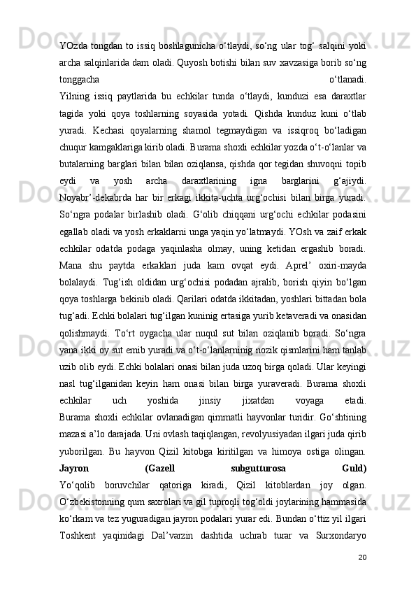 YOzda   tongdan   to   issiq   boshlagunicha   o‘tlaydi,   so‘ng   ular   tog‘   salqini   yoki
archa salqinlarida dam oladi. Quyosh botishi bilan suv xavzasiga borib so‘ng
tonggacha   o‘tlanadi.
Yilning   issiq   paytlarida   bu   echkilar   tunda   o‘tlaydi,   kunduzi   esa   daraxtlar
tagida   yoki   qoya   toshlarning   soyasida   yotadi.   Qishda   kunduz   kuni   o‘tlab
yuradi.   Kechasi   qoyalarning   shamol   tegmaydigan   va   issiqroq   bo‘ladigan
chuqur kamgaklariga kirib oladi. Burama shoxli echkilar yozda o‘t-o‘lanlar va
butalarning barglari bilan bilan oziqlansa, qishda qor tegidan shuvoqni topib
eydi   va   yosh   archa   daraxtlarining   igna   barglarini   g‘ajiydi.
Noyabr’-dekabrda   har   bir   erkagi   ikkita-uchta   urg‘ochisi   bilan   birga   yuradi.
So‘ngra   podalar   birlashib   oladi.   G‘olib   chiqqani   urg‘ochi   echkilar   podasini
egallab oladi va yosh erkaklarni unga yaqin yo‘latmaydi. YOsh va zaif erkak
echkilar   odatda   podaga   yaqinlasha   olmay,   uning   ketidan   ergashib   boradi.
Mana   shu   paytda   erkaklari   juda   kam   ovqat   eydi.   Aprel’   oxiri-mayda
bolalaydi.   Tug‘ish   oldidan   urg‘ochisi   podadan   ajralib,   borish   qiyin   bo‘lgan
qoya toshlarga bekinib oladi. Qarilari odatda ikkitadan, yoshlari bittadan bola
tug‘adi. Echki bolalari tug‘ilgan kuninig ertasiga yurib ketaveradi va onasidan
qolishmaydi.   To‘rt   oygacha   ular   nuqul   sut   bilan   oziqlanib   boradi.   So‘ngra
yana ikki oy sut emib yuradi va o‘t-o‘lanlarninig nozik qismlarini ham tanlab
uzib olib eydi. Echki bolalari onasi bilan juda uzoq birga qoladi. Ular keyingi
nasl   tug‘ilganidan   keyin   ham   onasi   bilan   birga   yuraveradi.   Burama   shoxli
echkilar   uch   yoshida   jinsiy   jixatdan   voyaga   etadi.
Burama   shoxli   echkilar   ovlanadigan   qimmatli   hayvonlar   turidir.   Go‘shtining
mazasi a’lo darajada. Uni ovlash taqiqlangan, revolyusiyadan ilgari juda qirib
yuborilgan.   Bu   hayvon   Qizil   kitobga   kiritilgan   va   himoya   ostiga   olingan.
Jayron   (Gazell   subgutturosa   Guld)
Yo‘qolib   boruvchilar   qatoriga   kiradi,   Qizil   kitoblardan   joy   olgan.
O‘zbekistonning qum saxrolari va gil tuproqli tog‘oldi joylarining hammasida
ko‘rkam va tez yuguradigan jayron podalari yurar edi. Bundan o‘ttiz yil ilgari
Toshkent   yaqinidagi   Dal’varzin   dashtida   uchrab   turar   va   Surxondaryo
20 