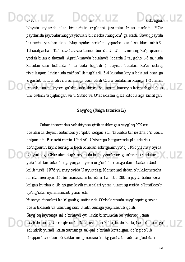 5-10   ta   uchragan.
Noyabr   oylarida   ular   bir   uch-ta   urg‘ochi   jayronlar   bilan   ajraladi.   YOz
paytlarida jayronlarning yaylovlari bir necha ming km 2
  ga etadi. Sovuq paytda
bir necha yuz km etadi. May oyidan sentabr oyigacha ular 4 soatdan tortib 9-
10 soatgacha o‘tlab suv havzasi tomon borishadi. Ular umrining ko‘p qismini
yotish bilan o‘tkazadi. Aprel’-mayda bolalaydi (odatda 2 ta, goho 1-3 ta, juda
kamdan-kam   hollarda   4   ta   bola   tug‘adi   ).   Jayron   bolalari   ko‘zi   ochiq,
rivojlangan, lekin juda zaif bo‘lib tug‘iladi. 3-4 kundan keyin bolalari onasiga
ergashib, ancha olis masofalarga bora oladi Onasi bolalarini kuniga 1-2 mahal
emizib turadi. Jayron go‘shti juda shirin. Bu jayron kamayib ketmasligi uchun
uni ovlash taqiqlangan va u SSSR va O‘zbekistan qizil kitoblariga kiritilgan.
Sayg‘oq (Saiga tatarica L)
Odam tomonidan vahshiyona qirib tashlangan sayg‘oq XX asr 
boshlarida deyarli batamom yo‘qalib ketgan edi. Tabiatda bir nechta o‘n boshi
qolgan edi. Birinchi marta 1944 yili Ustyurtga borganimda plotada shu 
do‘ngburun kiyik borligini hech kimdan eshitganim yo‘q. 1956 yil may oyida 
Ustyurtdagi CHurukqudug‘i rayonida bu hayvonlarning ko‘psonli podalari 
yoki bolalari bilan birga yurgan ayrim urg‘ochilari bizga dam- badam duch 
kelib turdi. 1976 yil may oyida Ustyurtdagi Komsomolskdan o‘n kilometrcha 
narida men ayanchli bir manzarani ko‘rdim: har 100-200 m joyda bahor kezi 
kelgan hutdan o‘lib qolgan kiyik murdalari yotar, ularning ustida o‘limtikxo‘r 
qo‘ng‘izlar uymalanishib yurar edi.
Himoya choralari ko‘rilganligi natijasida O‘zbekistonda sayg‘oqning tuyoq 
boshi tiklandi va ularning soni 3 mln boshga yaqinlashib qoldi.
Sayg‘oq jayronga sal o‘xshaydi-yu, lekin birmuncha bo‘ydorroq , tana 
tuzilishi bir qadar miqtiroq bo‘ladi, oyoqlari kalta, boshi katta, hamisha pastga
solintirib yuradi, kalta xartumga sal-pal o‘xshab ketadigan, do‘ng bo‘lib 
chiqqan burni bor. Erkaklarining massasi 50 kg gacha boradi, urg‘ochilari 
23