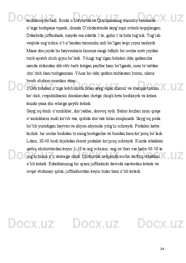 kichikroq bo‘ladi. Bizda u Ustyurtda va Qizilqumning shimoliy tomonida 
o‘ziga boshpana topadi, chunki O‘zbekistonda sayg‘oqni ovlash taqiqlangan. 
Dekabrda juftlashadi, mayda esa odatda 2 ta, goho 1 ta bola tug‘adi. Tug‘ish 
vaqtida urg‘ochisi o‘t-o‘landan tamomila xoli bo‘lgan taqir joyni tanlaydi. 
Mana shu joyda bu hayvonlarni himoya rangi tufayli bir necha metr joydan 
turib ajratib olish qiyin bo‘ladi. YAngi tug‘ilgan bolalari ikki qadamcha 
narida oldimdan dik etib turib ketgan paytlar ham bo‘lganki, men to‘satdan 
cho‘chib ham tushganman. YAna bir-ikki qadam tashlasam bormi, ularni 
bosib olishim mumkin ekan.
YOsh bolalari o‘ziga kelib olishi bilan sayg‘oqlar shimol va sharqqa tomon 
ko‘chib, respublikamiz doiralaridan chetga chiqib keta boshlaydi va kelasi 
kuzda yana shu erlarga qaytib keladi.
Sayg‘oq donli o‘simliklar, sho‘raklar, shuvoq eydi. Bahor kezlari umri qisqa 
o‘simliklarni xush ko‘rib esa, qishda sho‘rak bilan oziqlanadi. Sayg‘oq poda 
bo‘lib yuradigan hayvon va ahyon-ahyonda yolg‘iz uchraydi. Podalari katta-
kichik: bir necha boshdan to ming boshgacha va bundan ham ko‘proq bo‘ladi.
Lekin, 30-40 bosh kiyikdan iborat podalari ko‘proq uchraydi. Kuzda erkaklari
qattiq olishuvlardan keyin 5-10 ta urg‘ochisini, eng zo‘rlari esa hatto 40-50 ta 
urg‘ochisini o‘z xasmiga oladi. Olishuvlar natijasida ancha zaifroq erkaklari 
o‘lib ketadi. Erkaklarining bir qismi juftlashish davrida madordan ketadi va 
ovqat etishmay qolsa, juftlashuvdan keyin bular ham o‘lib ketadi.  
24 