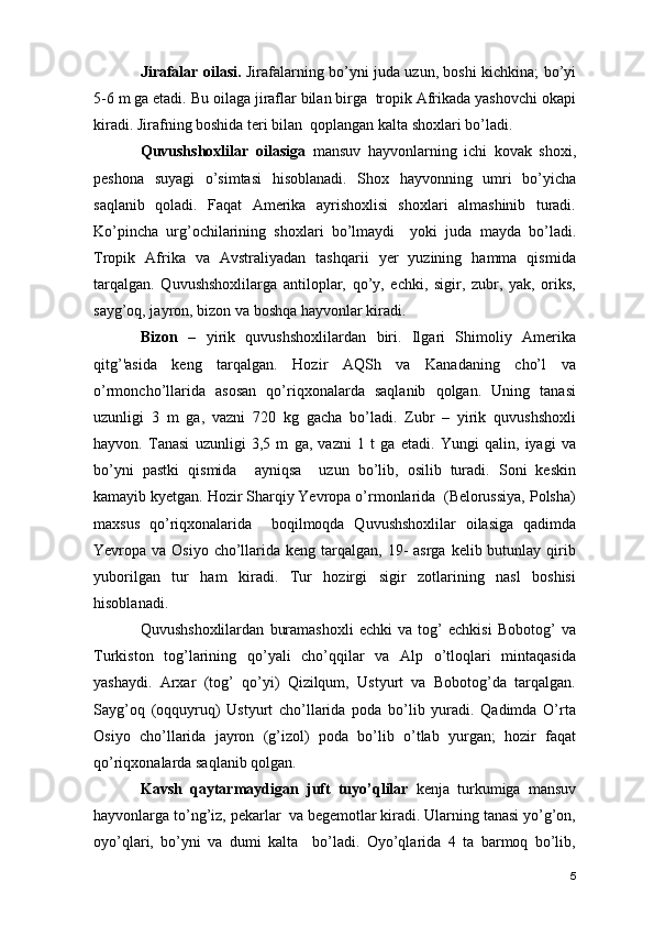 Jirafalar oilasi.   Jirafalarning bo’yni juda uzun, boshi kichkina; bo’yi
5-6 m ga etadi. Bu oilaga jiraflar bilan birga  tropik Afrikada yashovchi okapi
kiradi. Jirafning boshida teri bilan  qoplangan kalta shoxlari bo’ladi.
Quvushshoxlilar   oilasiga   mansuv   hayvonlarning   ichi   kovak   shoxi,
peshona   suyagi   o’simtasi   hisoblanadi.   Shox   hayvonning   umri   bo’yicha
saqlanib   qoladi.   Faqat   Amerika   ayrishoxlisi   shoxlari   almashinib   turadi.
Ko’pincha   urg’ochilarining   shoxlari   bo’lmaydi     yoki   juda   mayda   bo’ladi.
Tropik   Afrika   va   Avstraliyadan   tashqarii   yer   yuzining   hamma   qismida
tarqalgan.   Quvushshoxlilarga   antiloplar,   qo’y,   echki,   sigir,   zubr,   yak,   oriks,
sayg’oq, jayron, bizon va boshqa hayvonlar kiradi. 
Bizon   –   yirik   quvushshoxlilardan   biri.   Ilgari   Shimoliy   Amerika
qitg’'asida   keng   tarqalgan.   Hozir   AQSh   va   Kanadaning   cho’l   va
o’rmoncho’llarida   asosan   qo’riqxonalarda   saqlanib   qolgan.   Uning   tanasi
uzunligi   3   m   ga,   vazni   720   kg   gacha   bo’ladi.   Zubr   –   yirik   quvushshoxli
hayvon.   Tanasi   uzunligi   3,5   m   ga,   vazni   1   t   ga   etadi.   Yungi   qalin,   iyagi   va
bo’yni   pastki   qismida     ayniqsa     uzun   bo’lib,   osilib   turadi.   Soni   keskin
kamayib kyetgan. Hozir Sharqiy Yevropa o’rmonlarida  (Belorussiya, Polsha)
maxsus   qo’riqxonalarida     boqilmoqda   Quvushshoxlilar   oilasiga   qadimda
Yevropa va Osiyo cho’llarida keng tarqalgan, 19-  asrga kelib butunlay qirib
yuborilgan   tur   ham   kiradi.   Tur   hozirgi   sigir   zotlarining   nasl   boshisi
hisoblanadi.
Quvushshoxlilardan   buramashoxli   echki   va   tog’   echkisi   Bobotog’   va
Turkiston   tog’larining   qo’yali   cho’qqilar   va   Alp   o’tloqlari   mintaqasida
yashaydi.   Arxar   (tog’   qo’yi)   Qizilqum,   Ustyurt   va   Bobotog’da   tarqalgan.
Sayg’oq   (oqquyruq)   Ustyurt   cho’llarida   poda   bo’lib   yuradi.   Qadimda   O’rta
Osiyo   cho’llarida   jayron   (g’izol)   poda   bo’lib   o’tlab   yurgan;   hozir   faqat
qo’riqxonalarda saqlanib qolgan.
Kavsh   qaytarmaydigan   juft   tuyo’qlilar   kenja   turkumiga   mansuv
hayvonlarga to’ng’iz, pekarlar  va begemotlar kiradi. Ularning tanasi yo’g’on,
oyo’qlari,   bo’yni   va   dumi   kalta     bo’ladi.   Oyo’qlarida   4   ta   barmoq   bo’lib,
5 